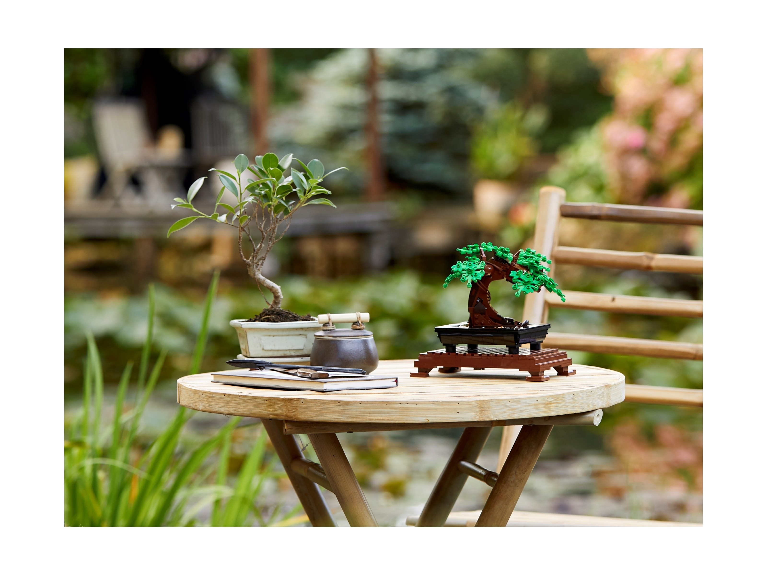 LEGO Botanicals - Drzewko bonsai