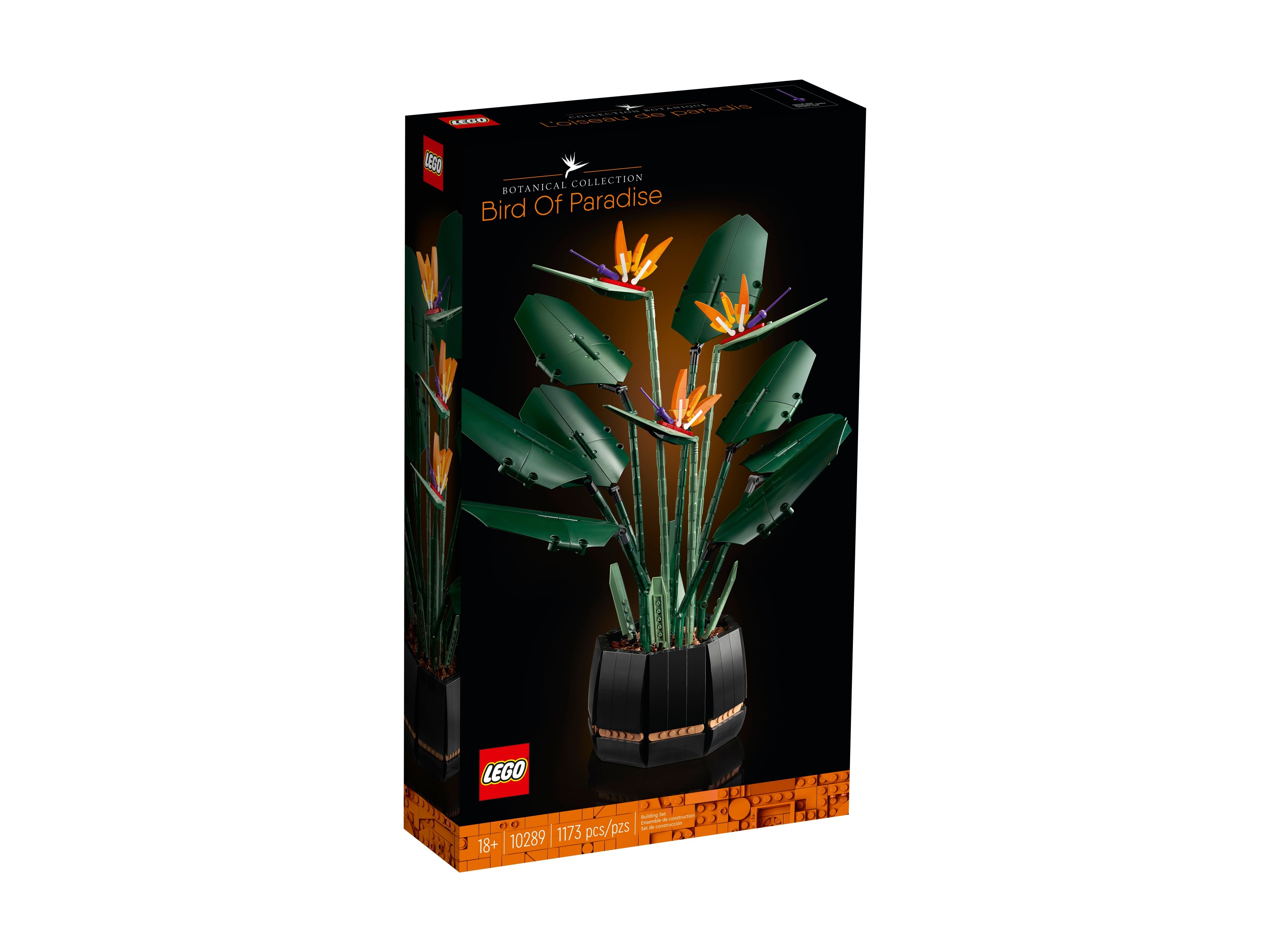 LEGO Botanicals - Strelicja królewska