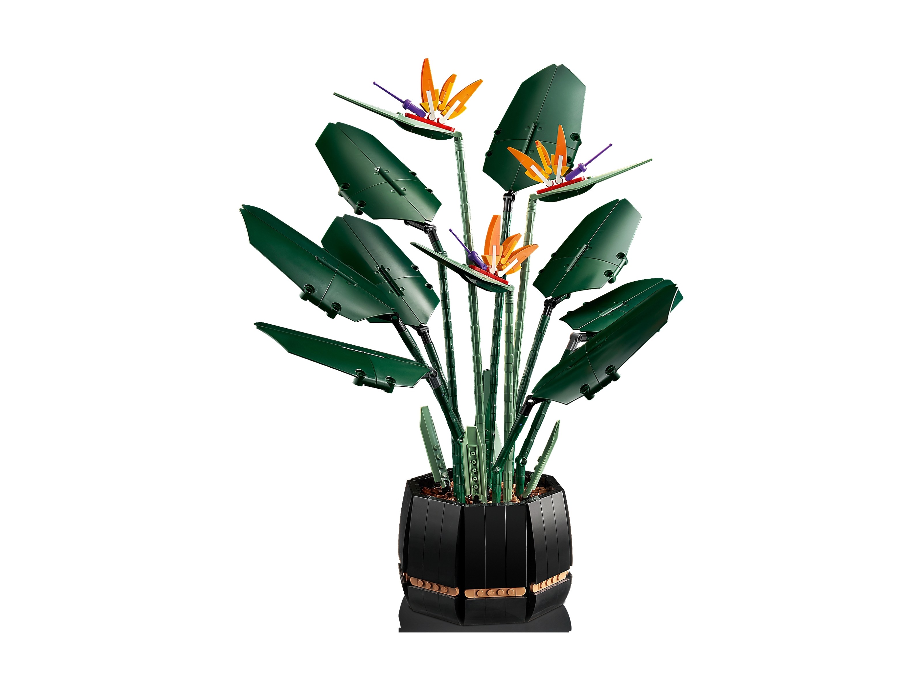 LEGO Botanicals - Strelicja królewska