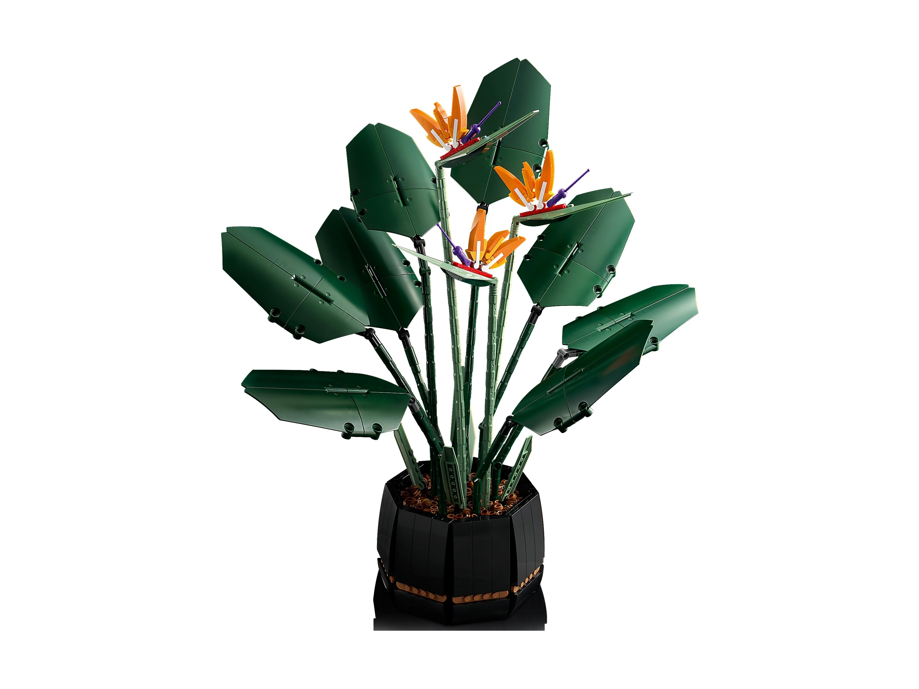 LEGO Botanicals - Strelicja królewska