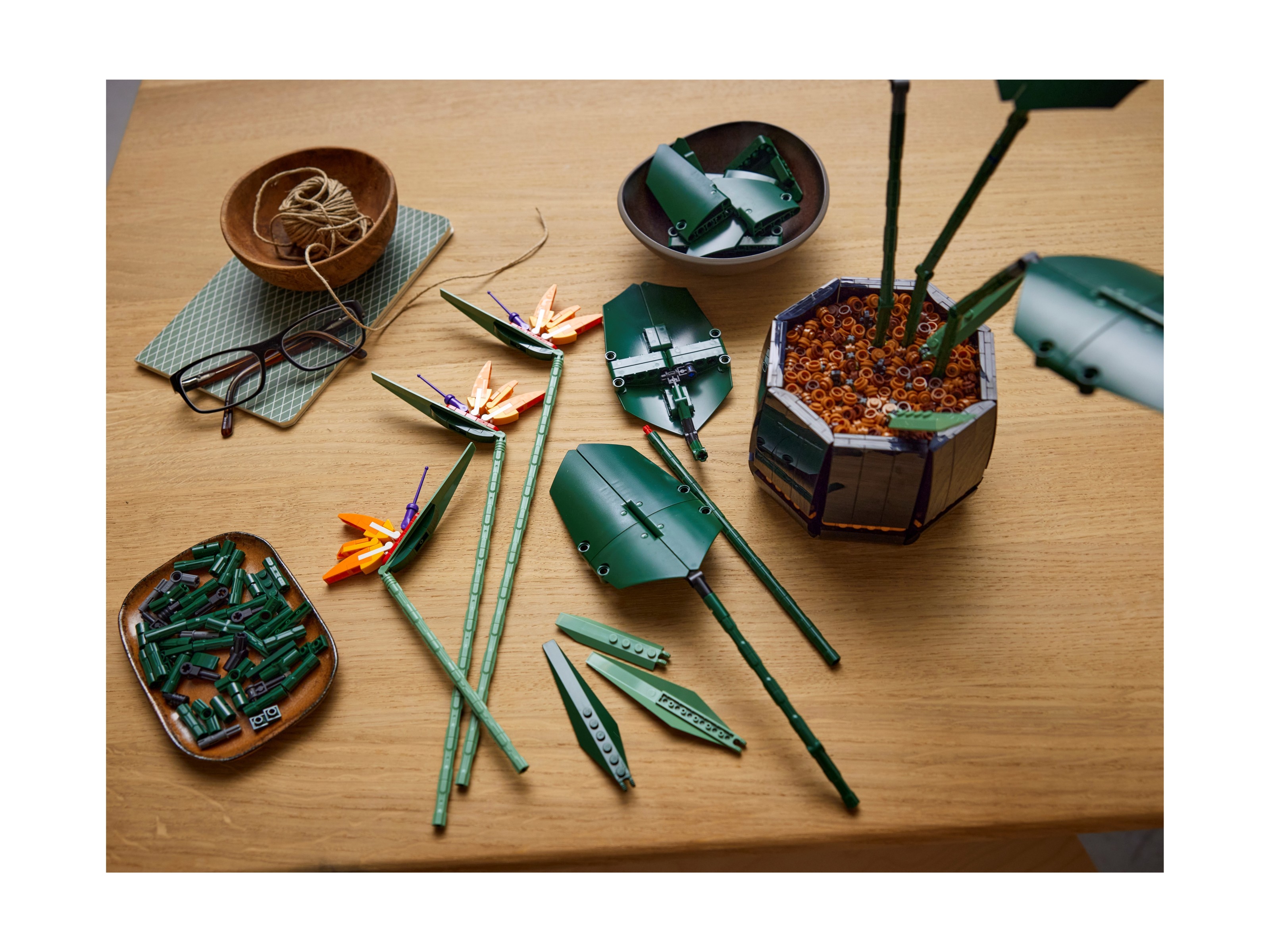 LEGO Botanicals - Strelicja królewska