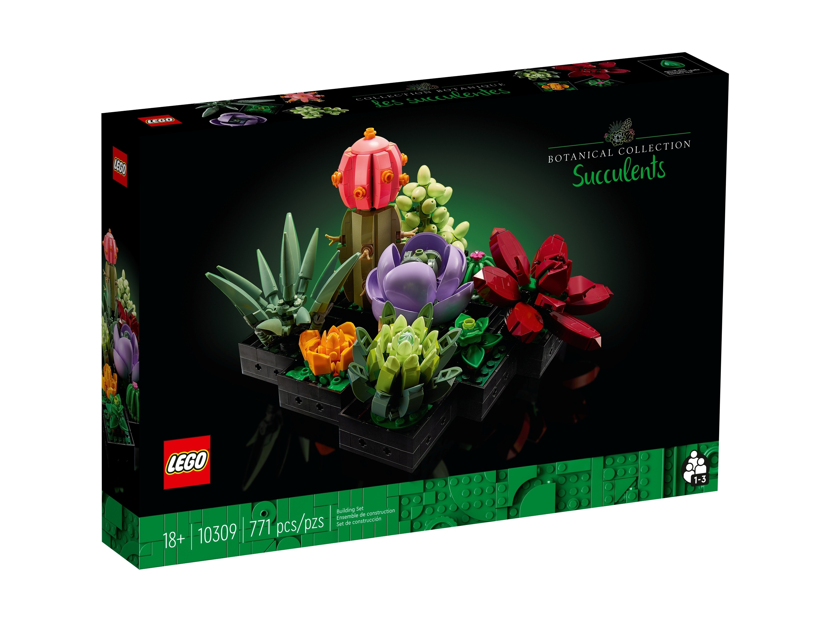 LEGO Botanicals - Sukulenty