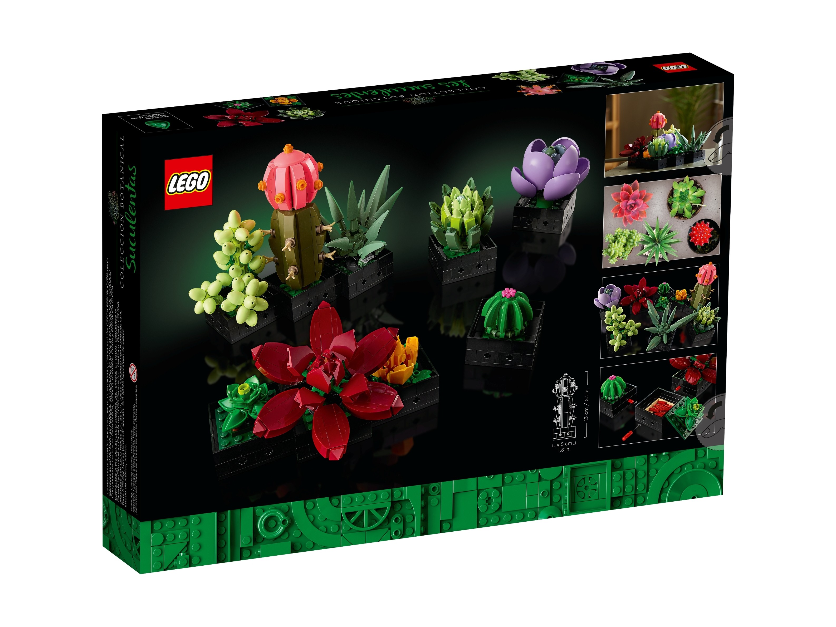 LEGO Botanicals - Sukulenty