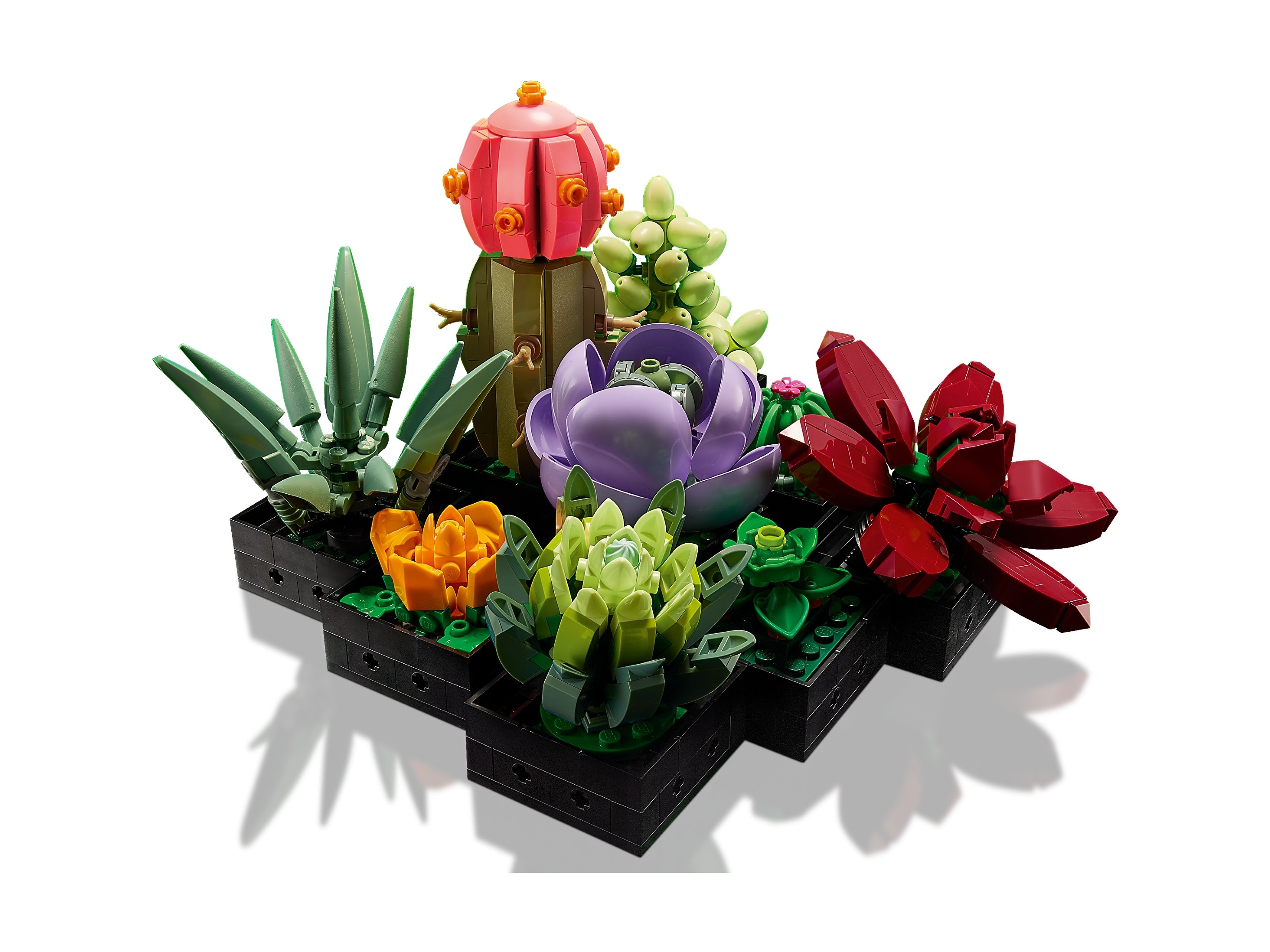 LEGO Botanicals - Sukulenty