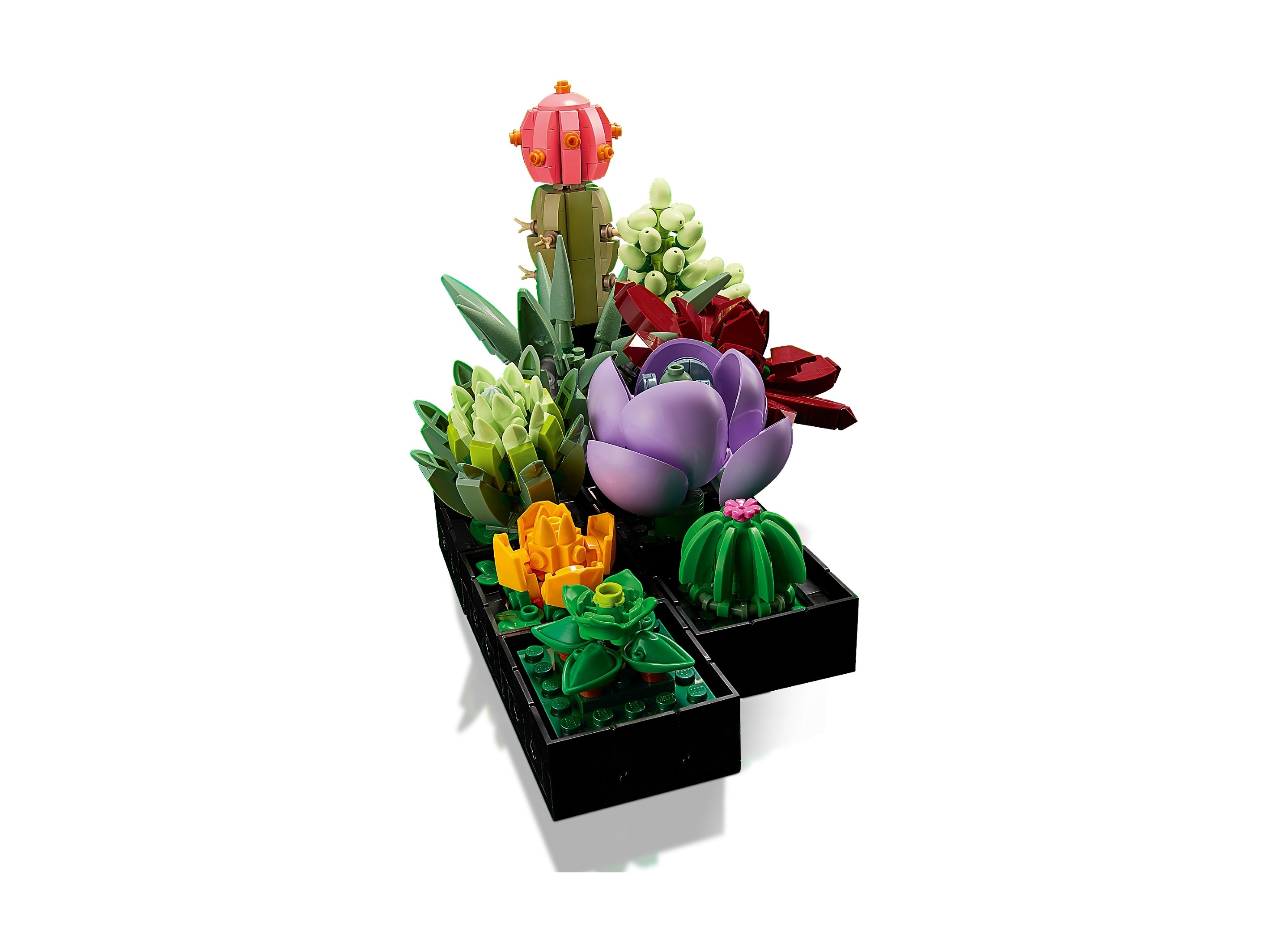 LEGO Botanicals - Sukulenty