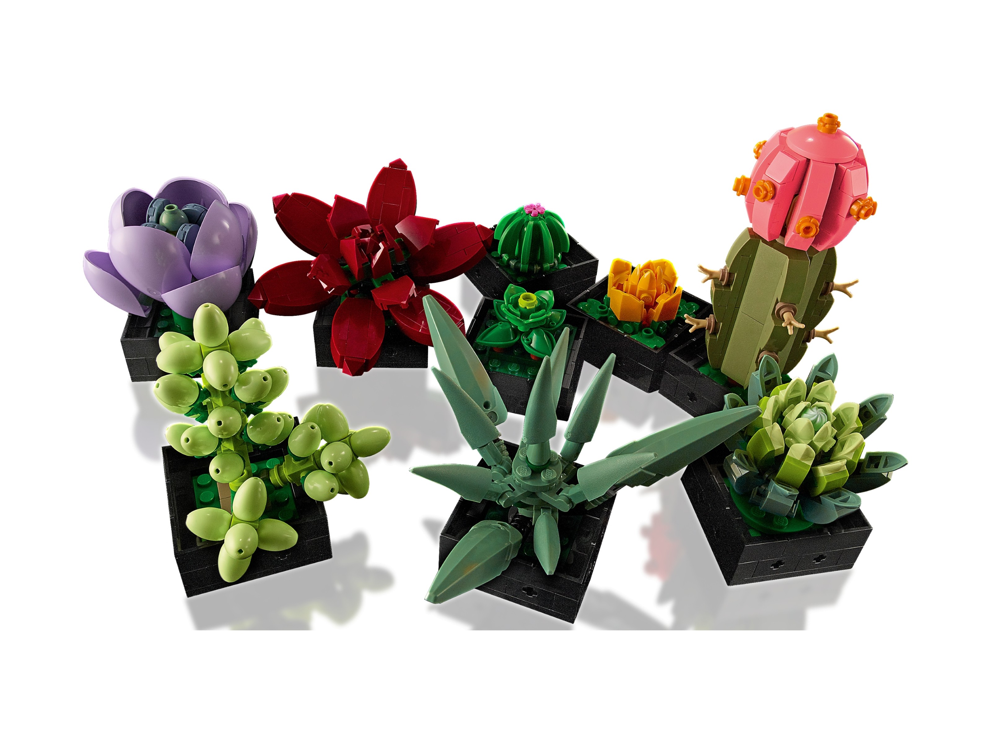 LEGO Botanicals - Sukulenty