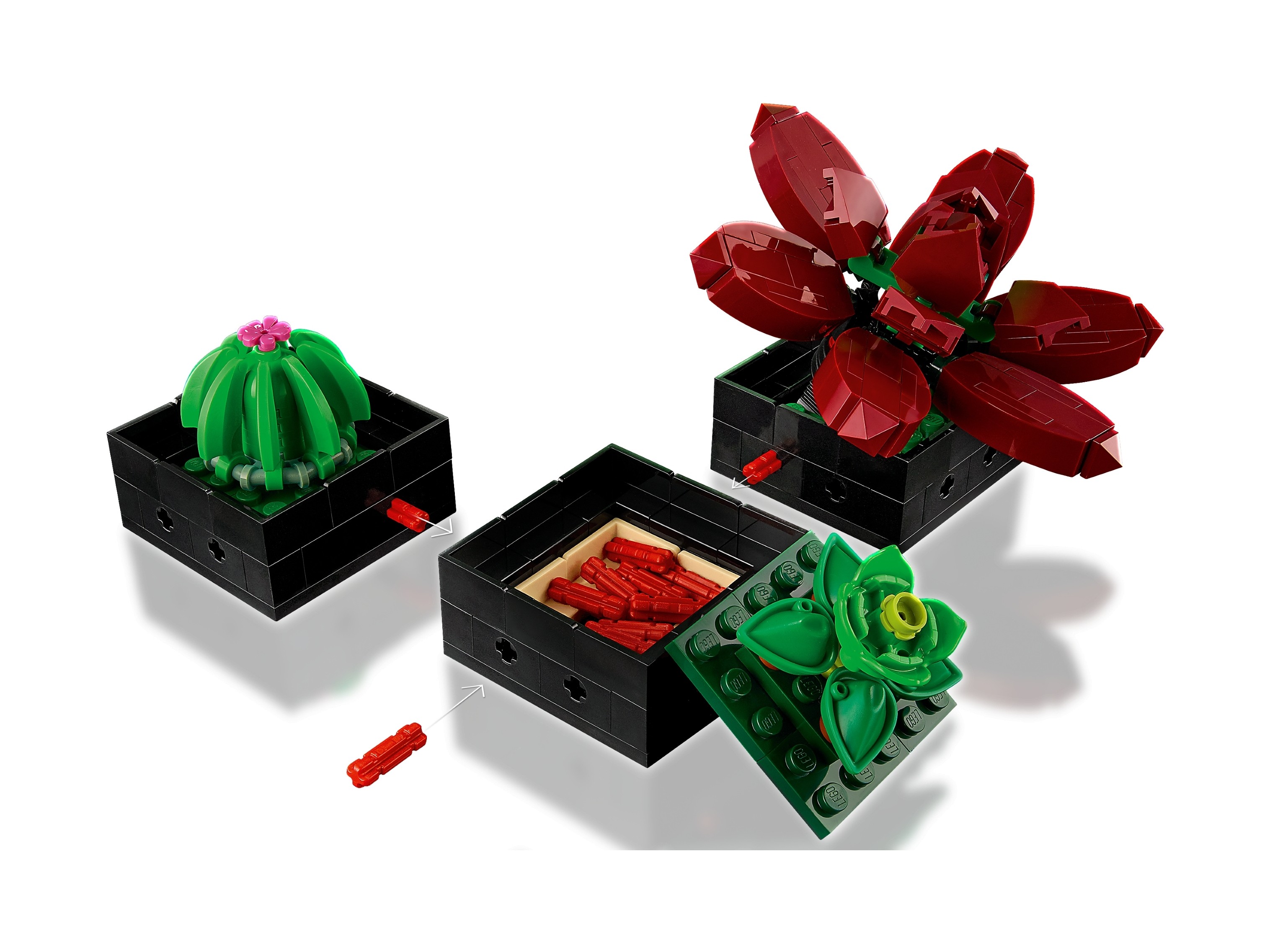 LEGO Botanicals - Sukulenty
