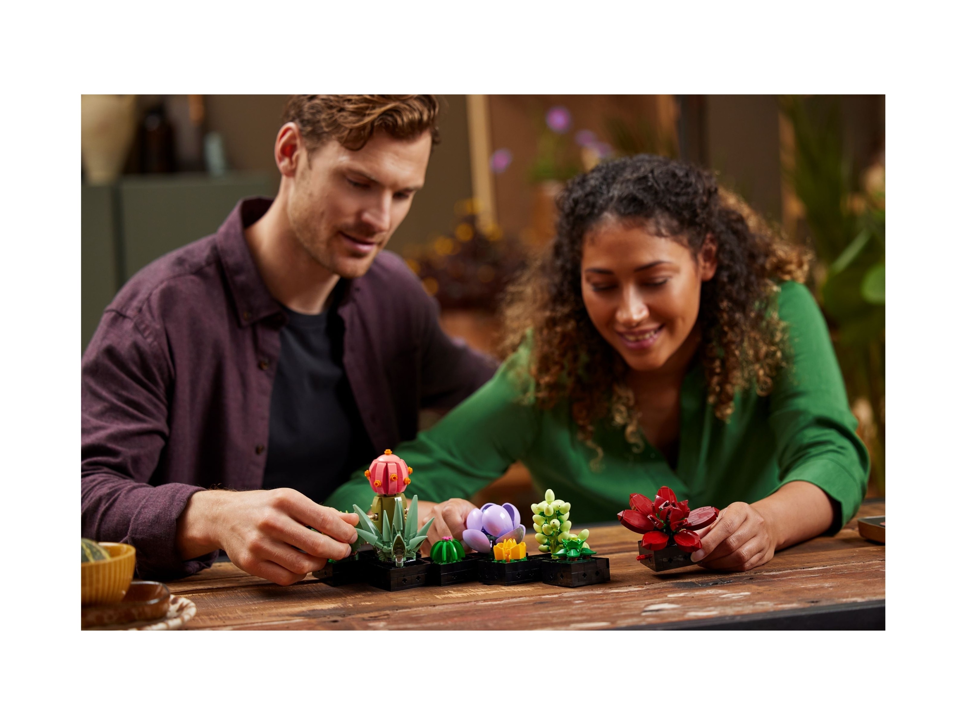 LEGO Botanicals - Sukulenty