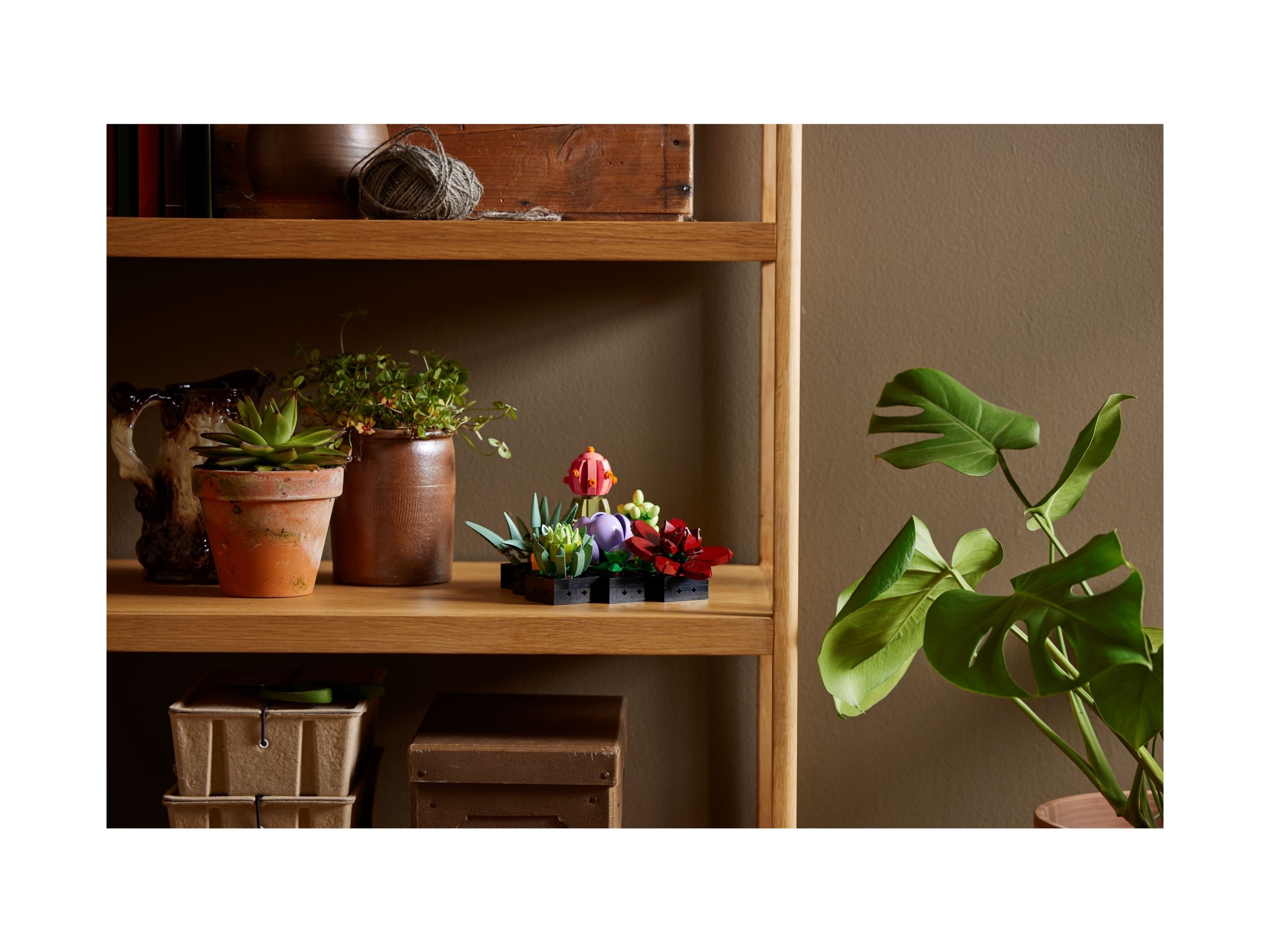 LEGO Botanicals - Sukulenty