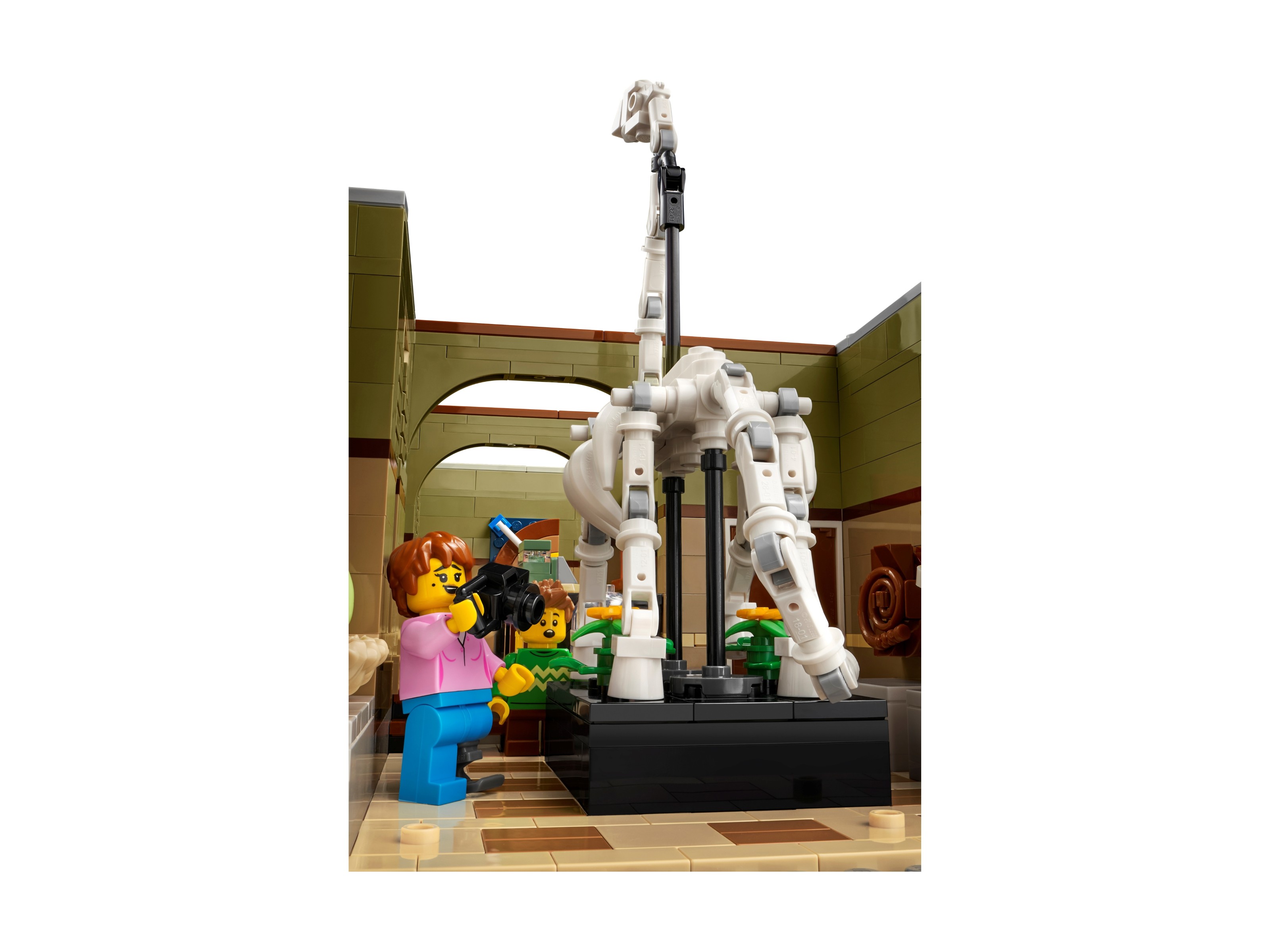 LEGO Icons - Muzeum Historii Naturalnej