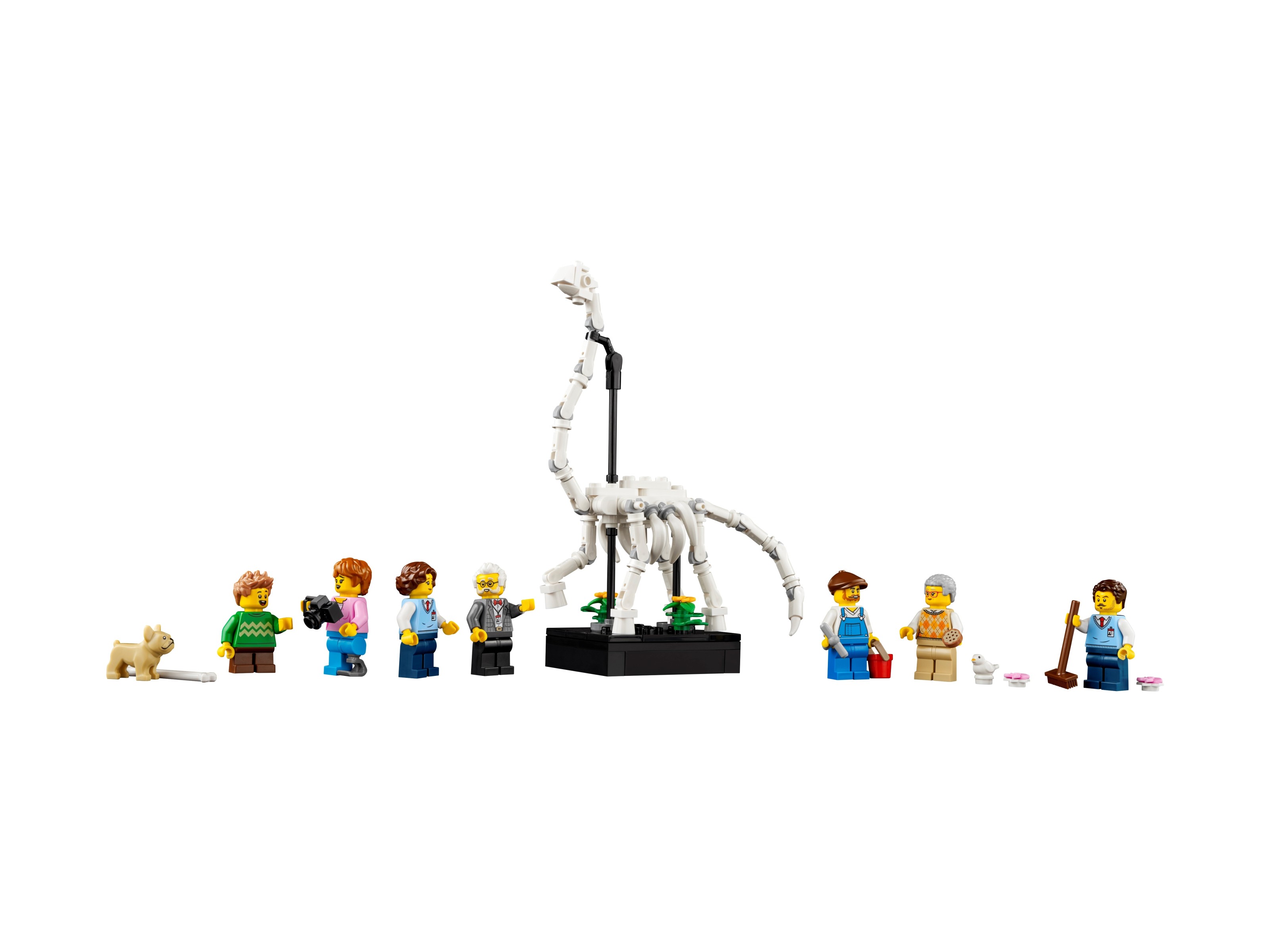 LEGO Icons - Muzeum Historii Naturalnej