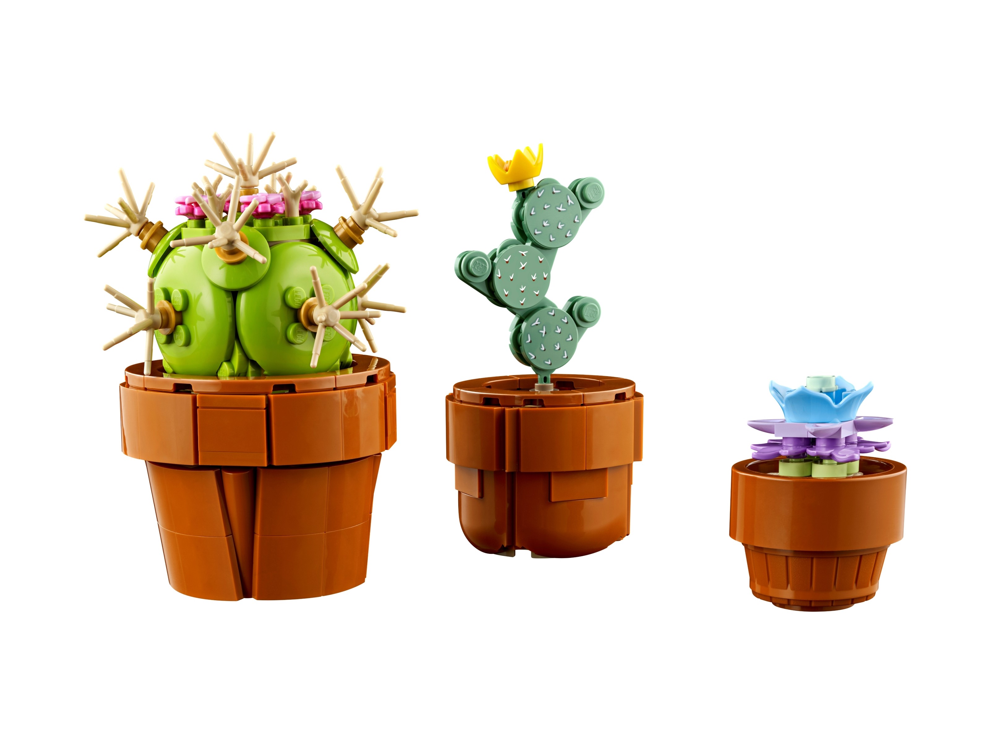 LEGO Botanicals - Małe roślinki