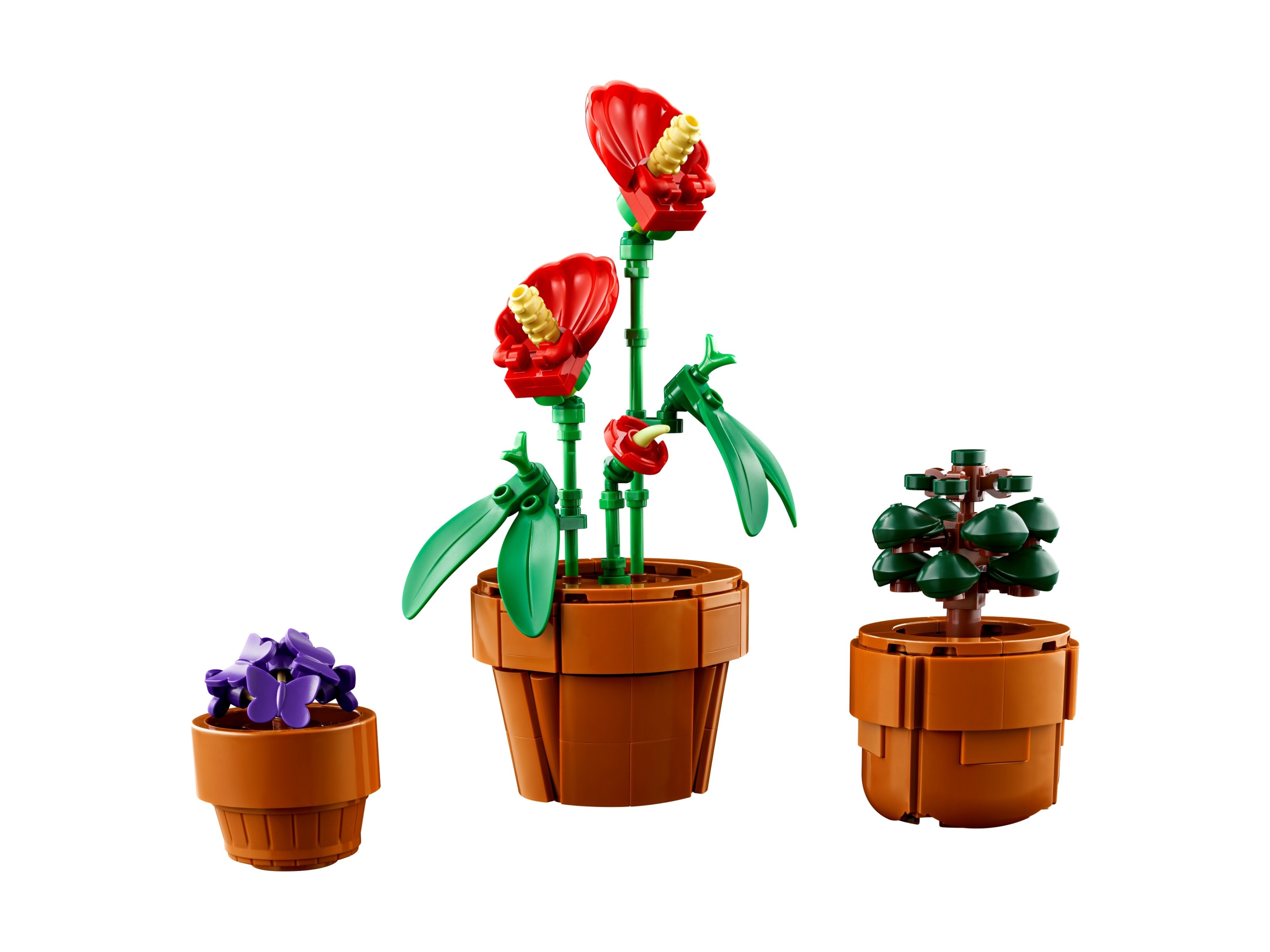 LEGO Botanicals - Małe roślinki