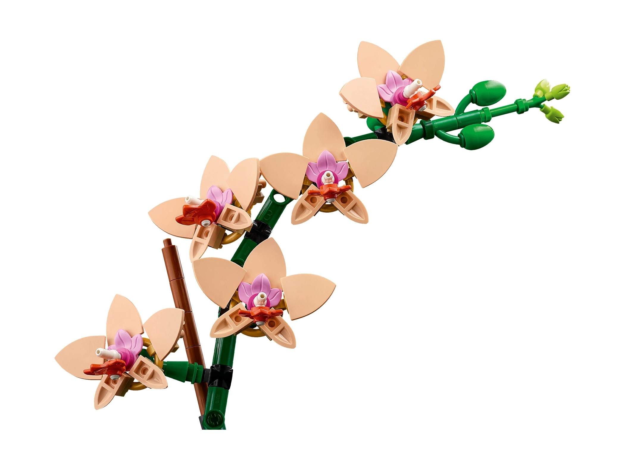 LEGO Botanicals - Mała orchidea