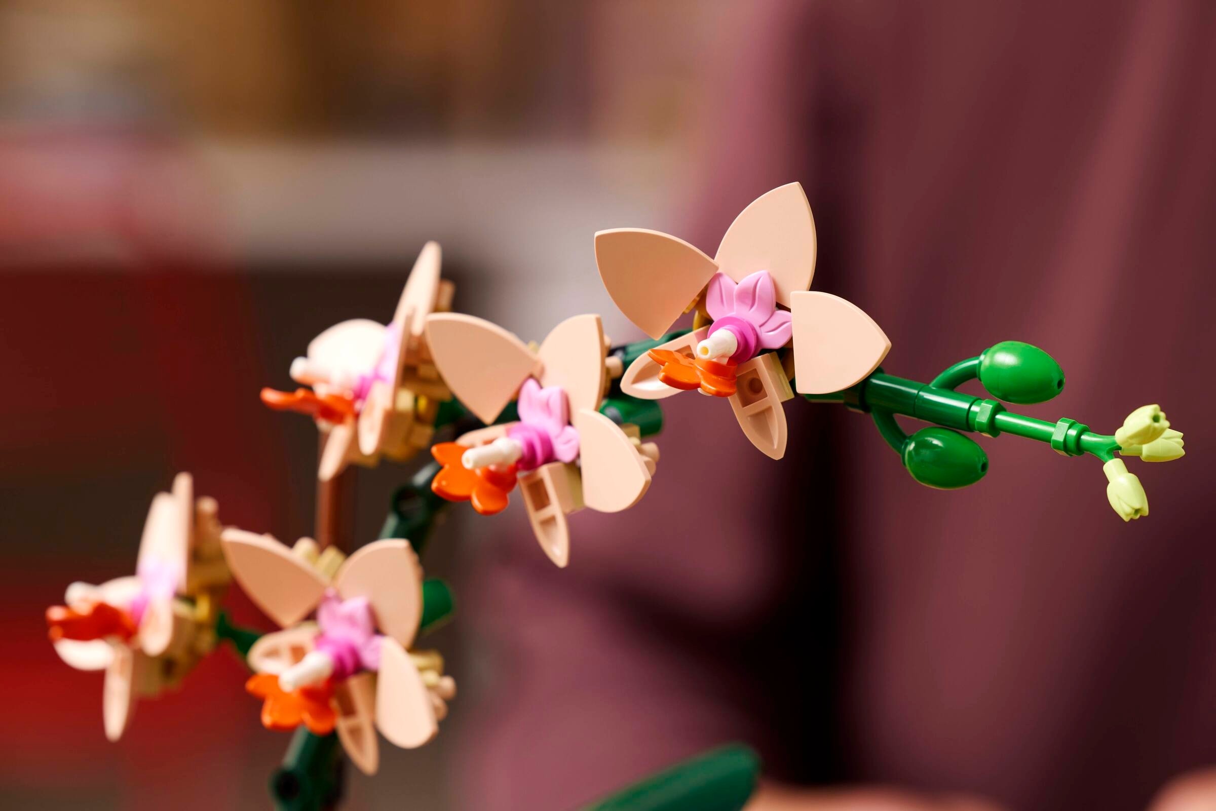 LEGO Botanicals - Mała orchidea