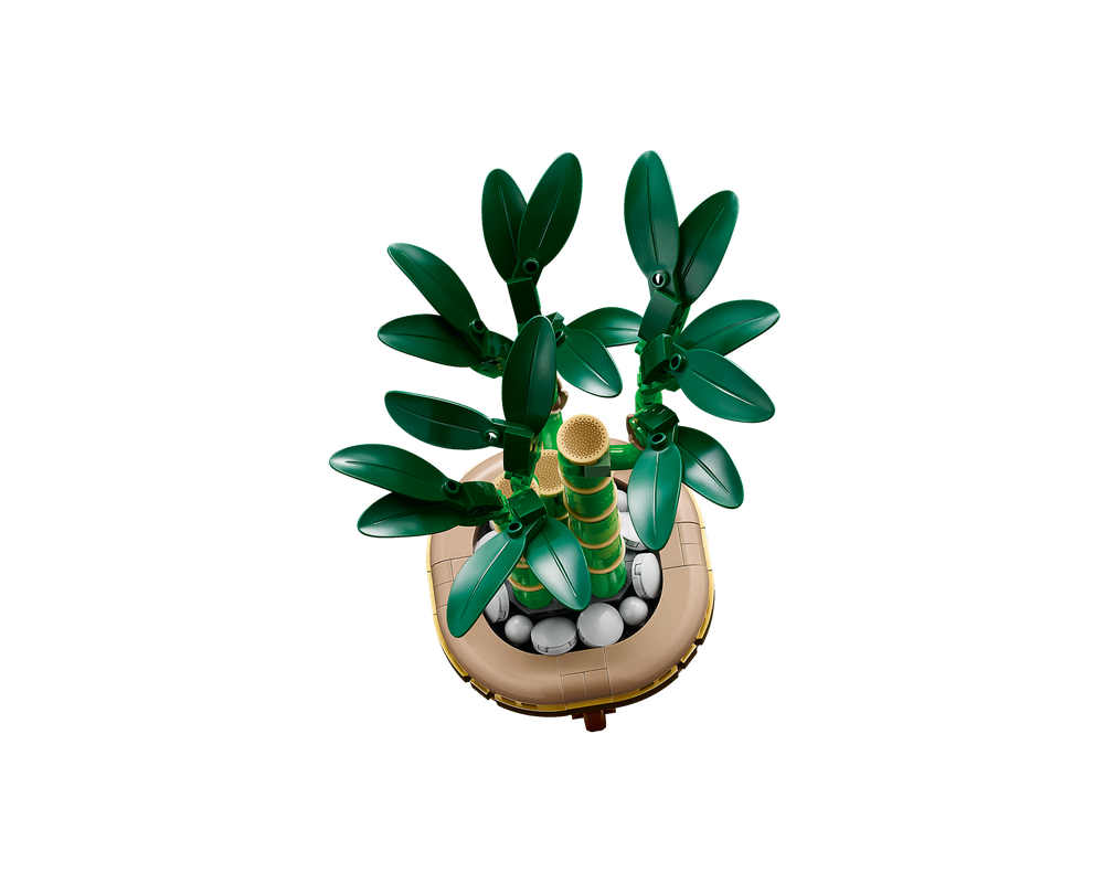 LEGO Botanicals - Dracena sandera