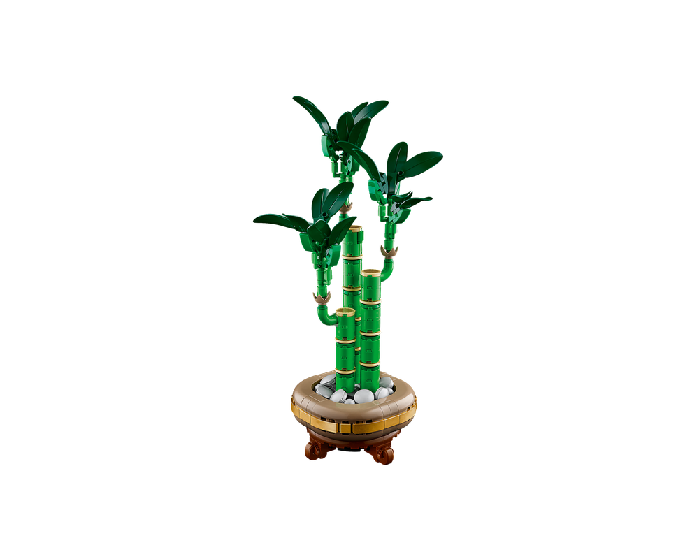 LEGO Botanicals - Dracena sandera