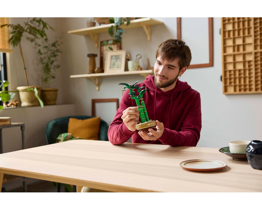 LEGO Botanicals - Dracena sandera