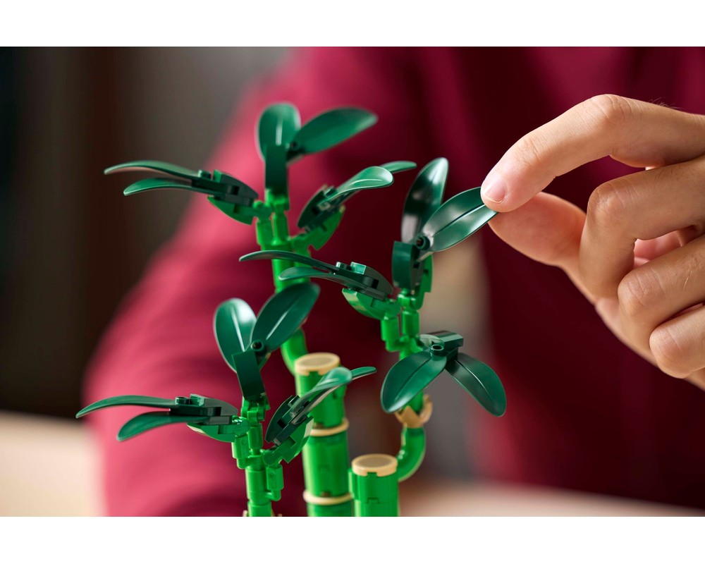 LEGO Botanicals - Dracena sandera