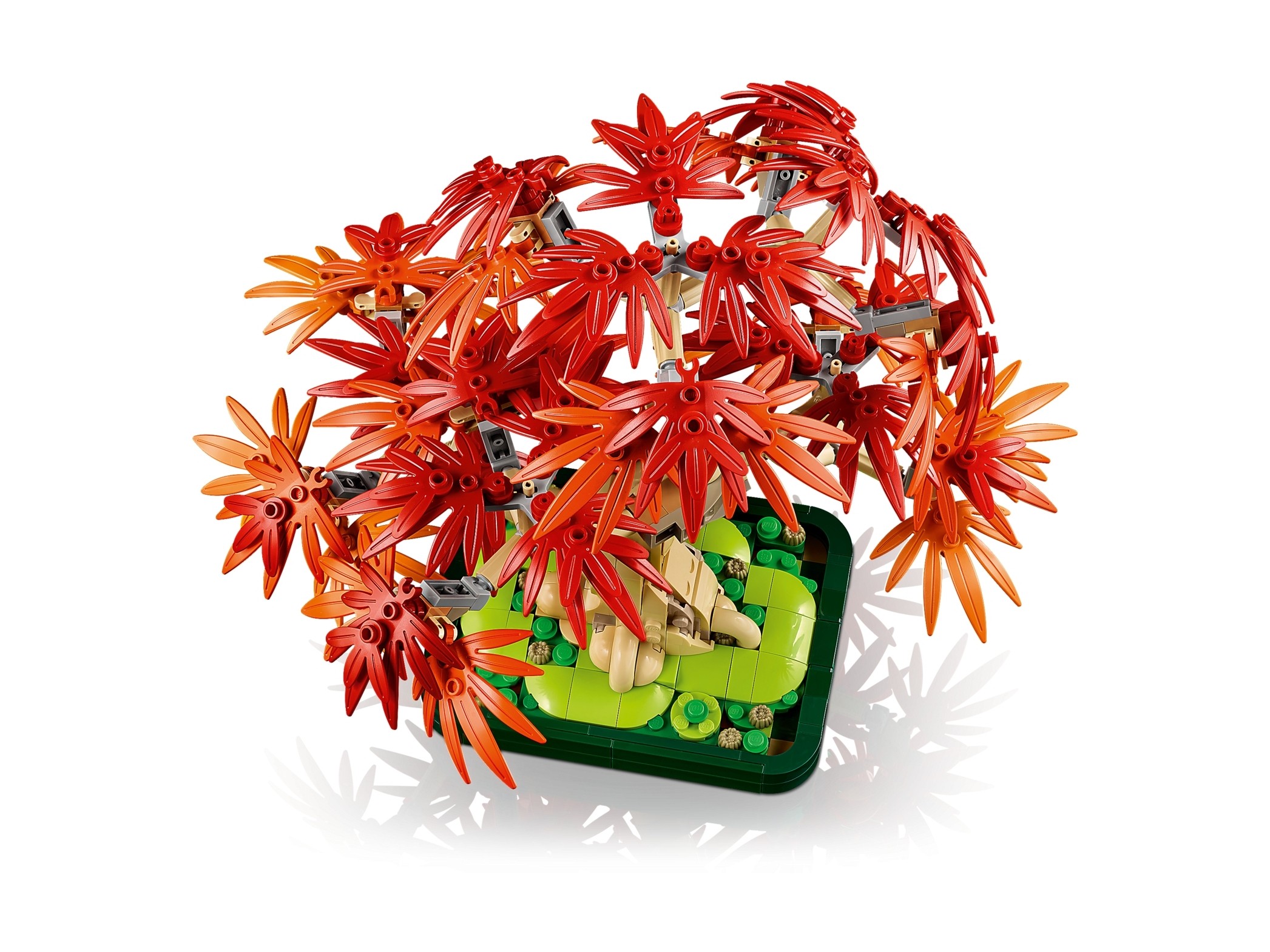 LEGO Botanicals - Klon palmowy bonsai