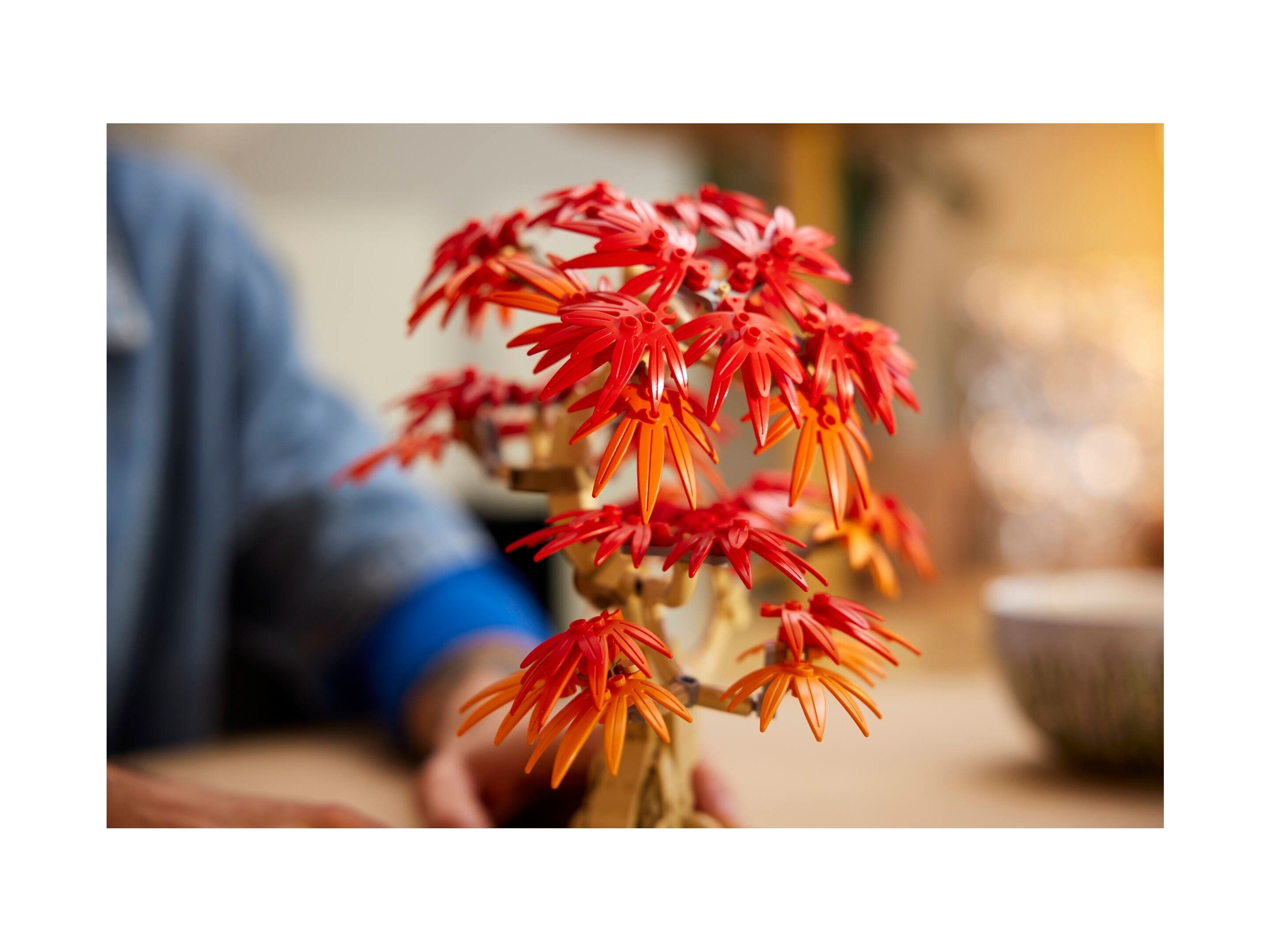 LEGO Botanicals - Klon palmowy bonsai