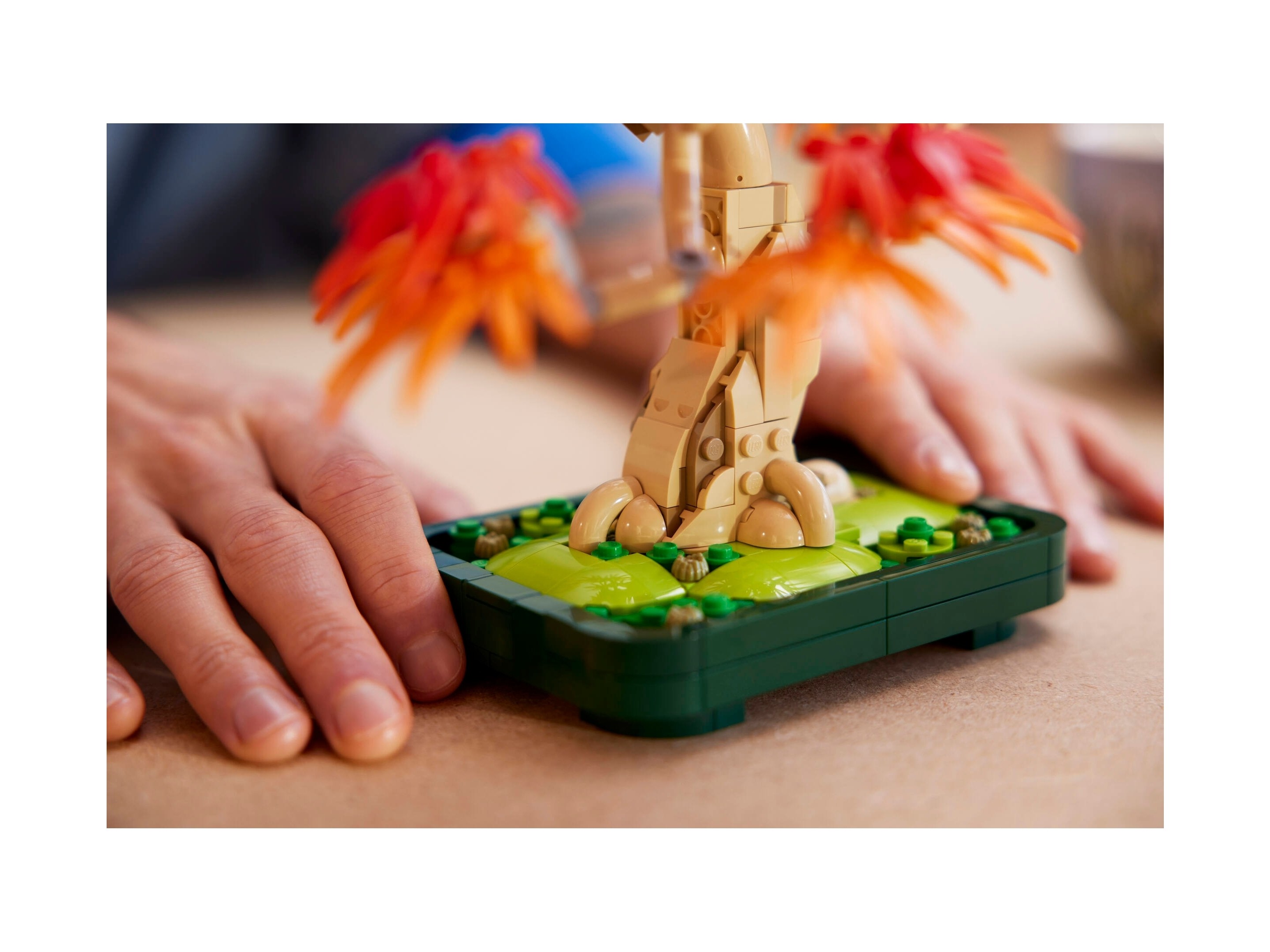 LEGO Botanicals - Klon palmowy bonsai