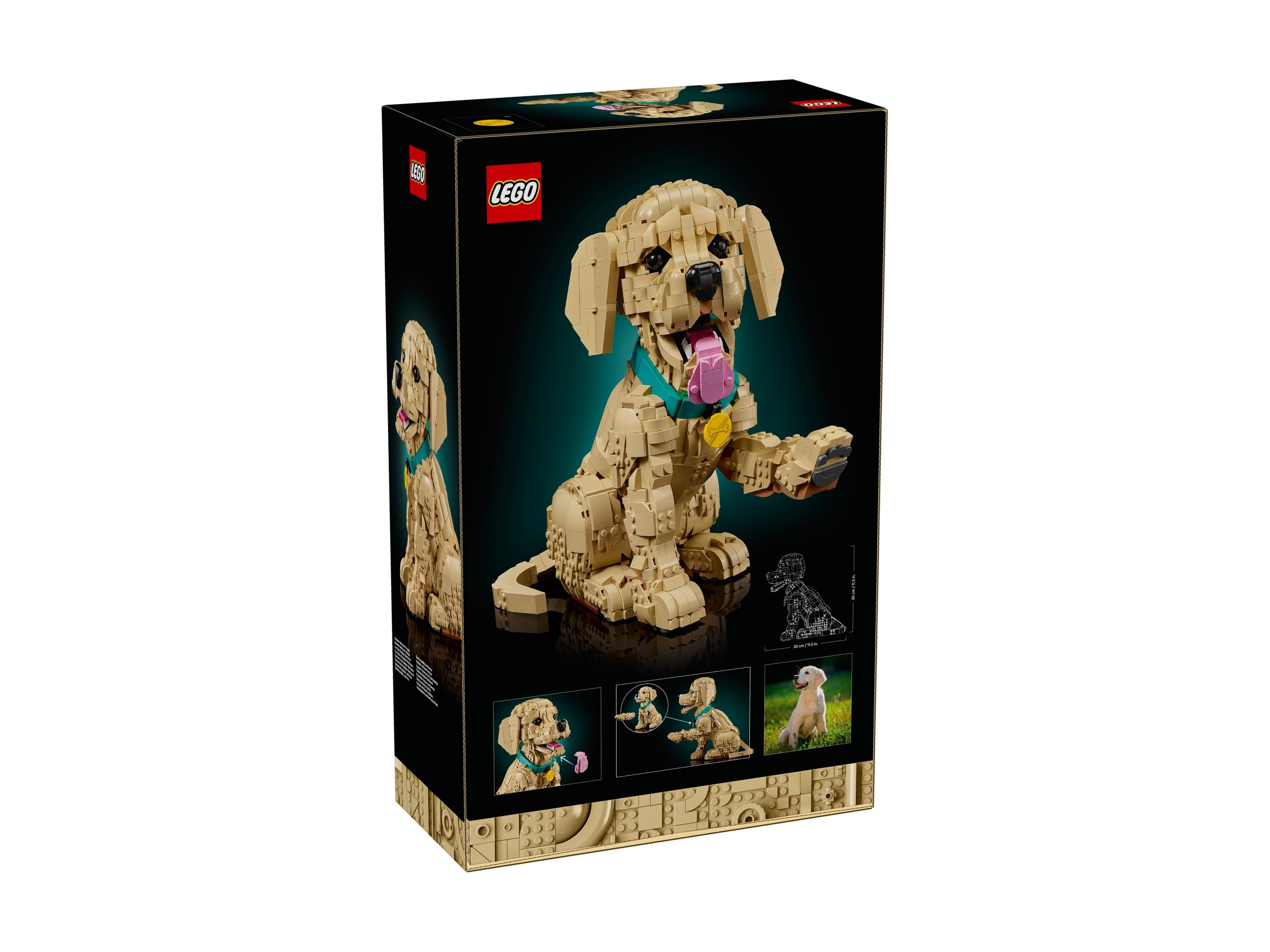 LEGO Icons - Szczeniak golden retriever