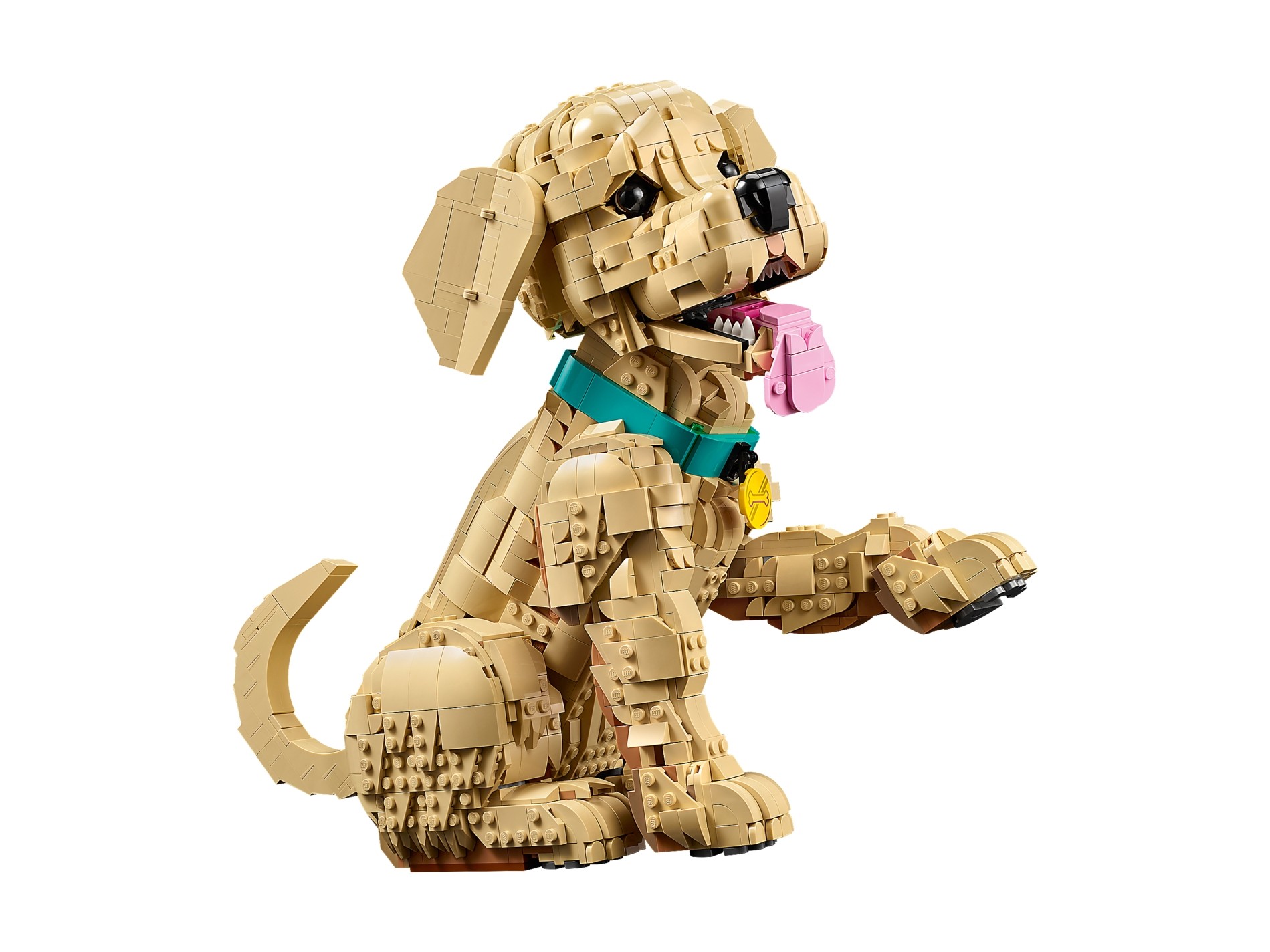 LEGO Icons - Szczeniak golden retriever