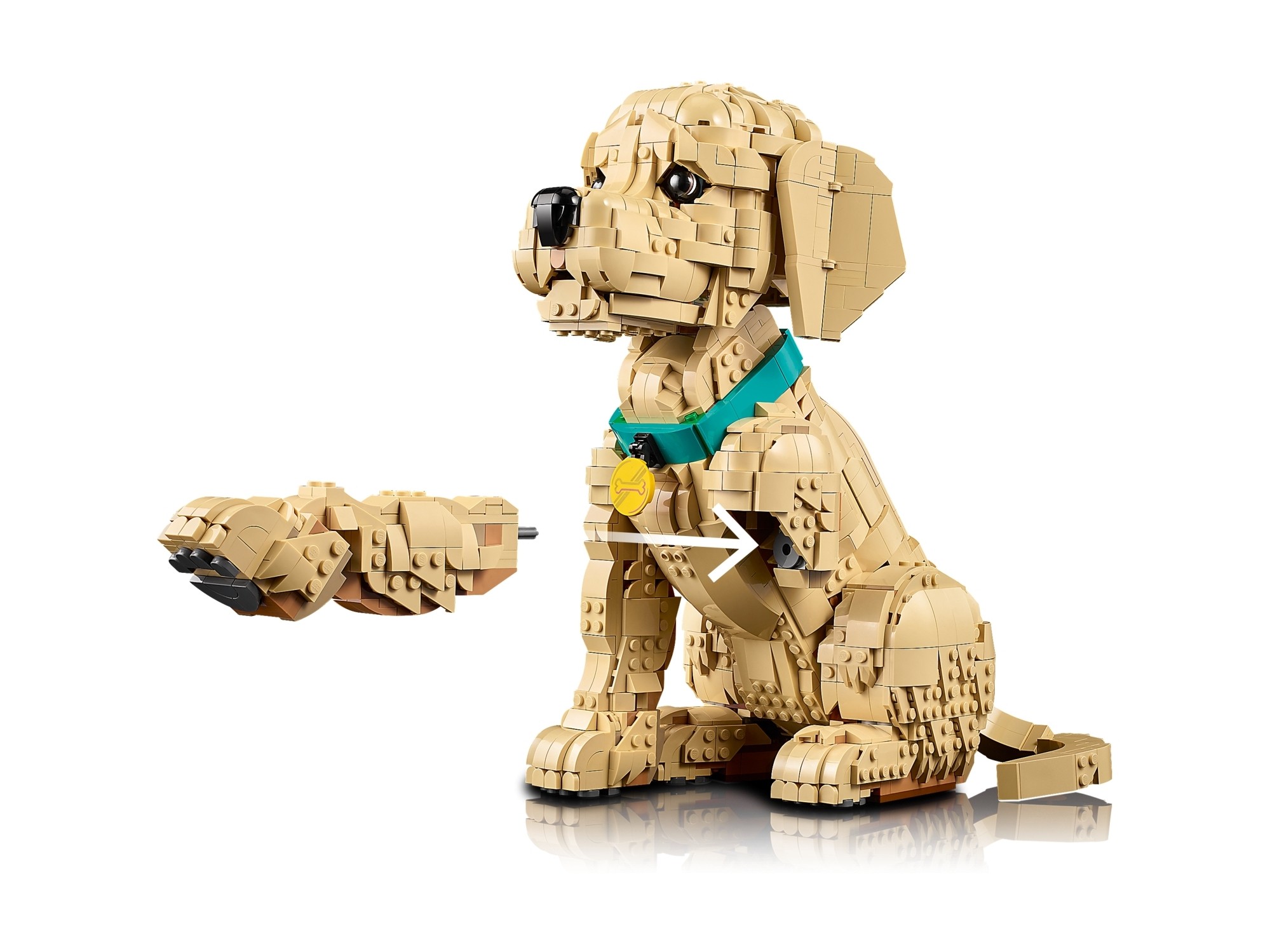 LEGO Icons - Szczeniak golden retriever