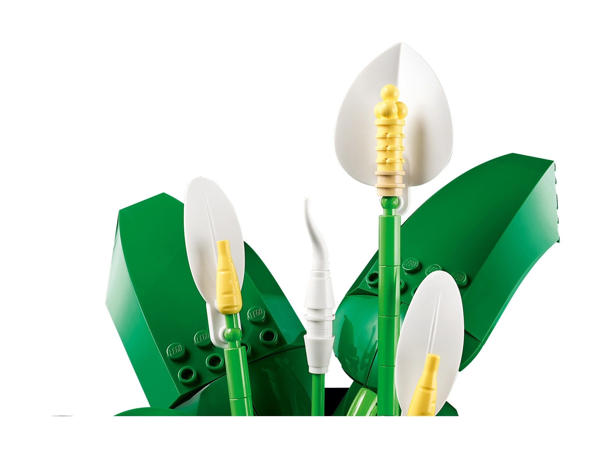 LEGO Botanicals - Skrzydłokwiat