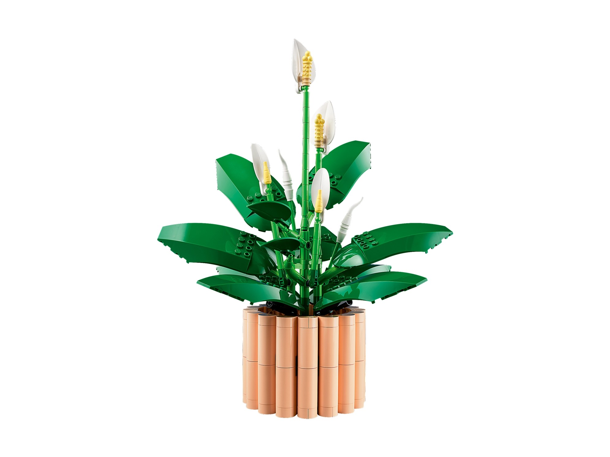 LEGO Botanicals - Skrzydłokwiat