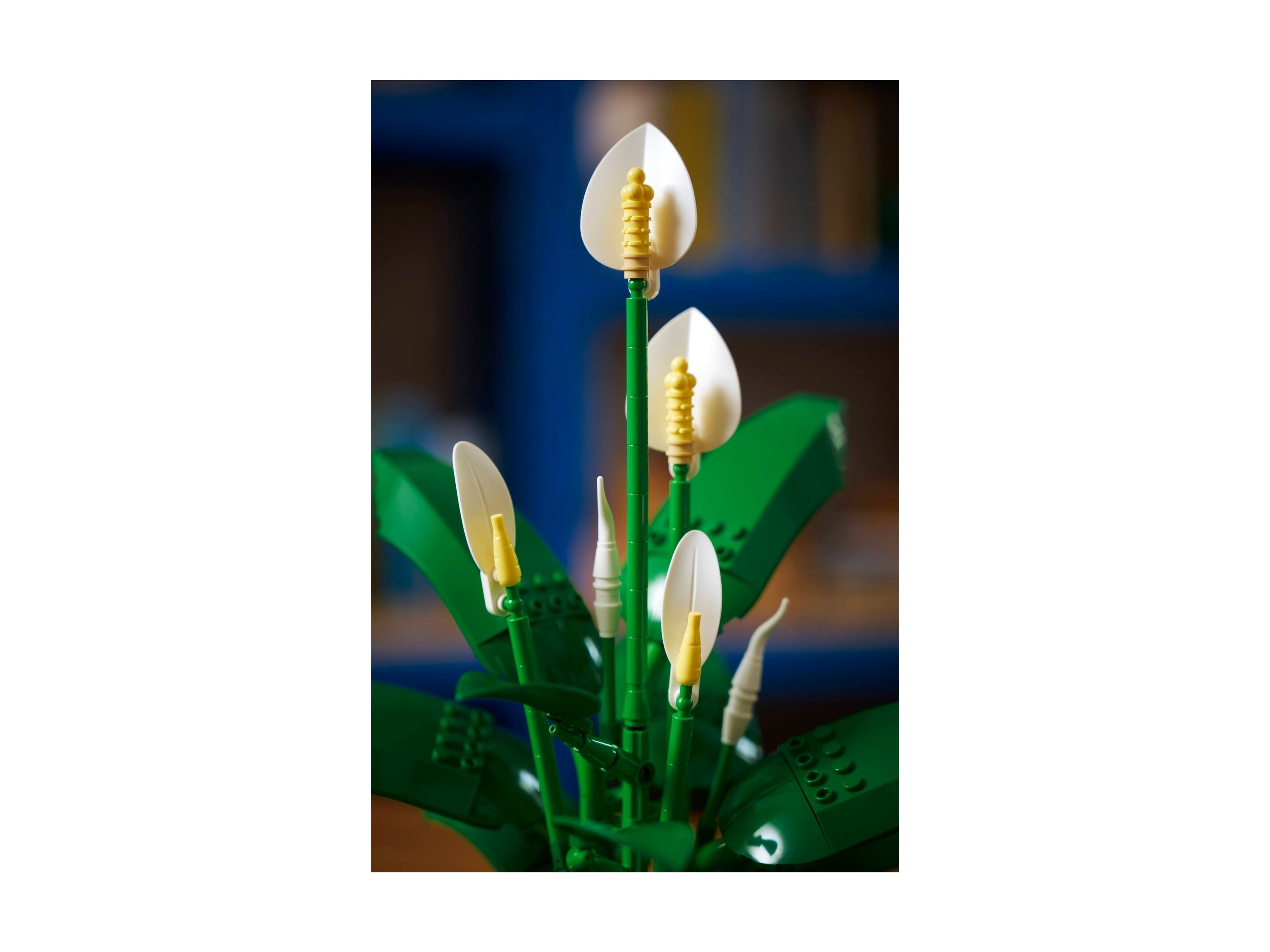 LEGO Botanicals - Skrzydłokwiat