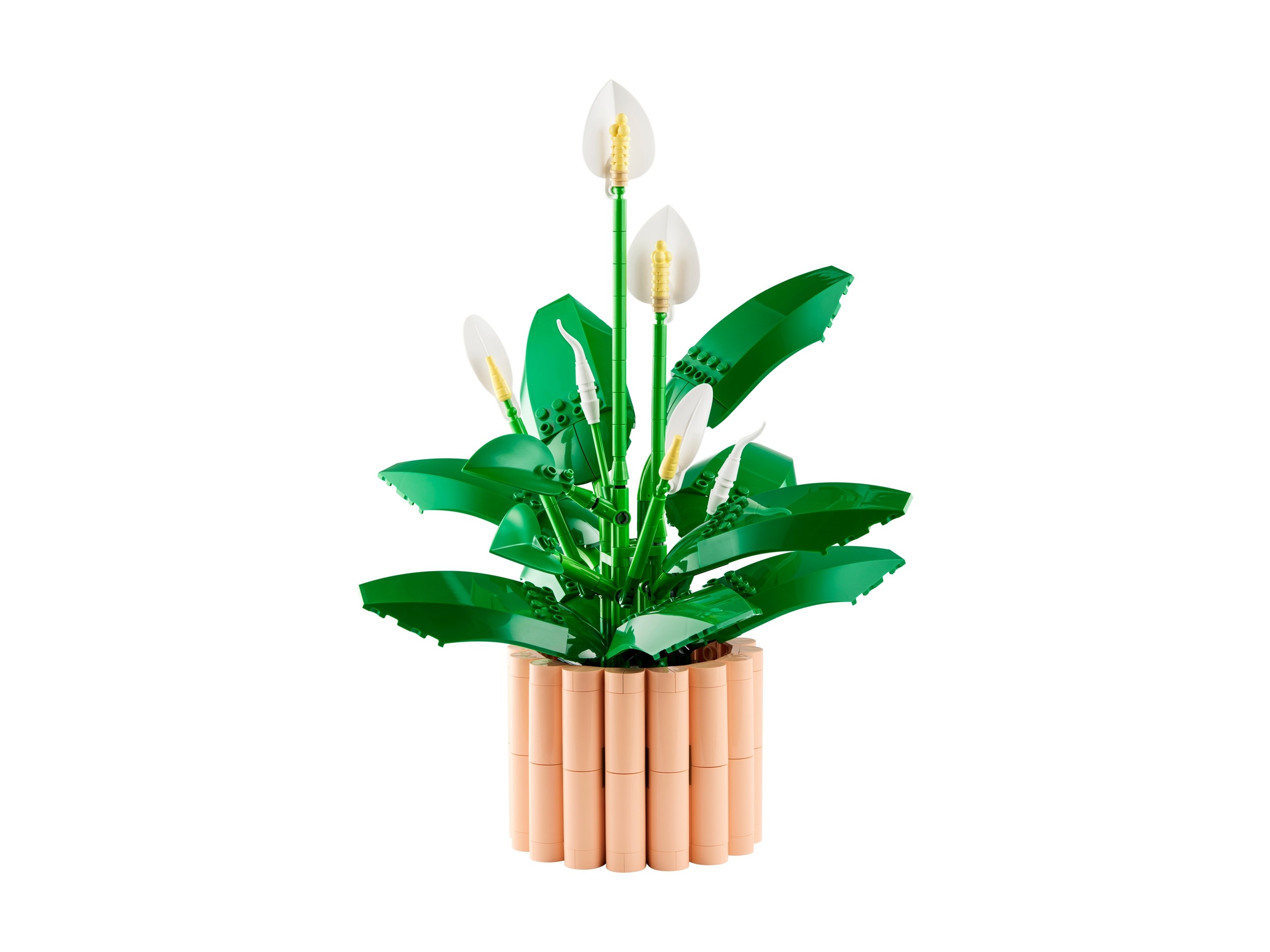 LEGO Botanicals - Skrzydłokwiat