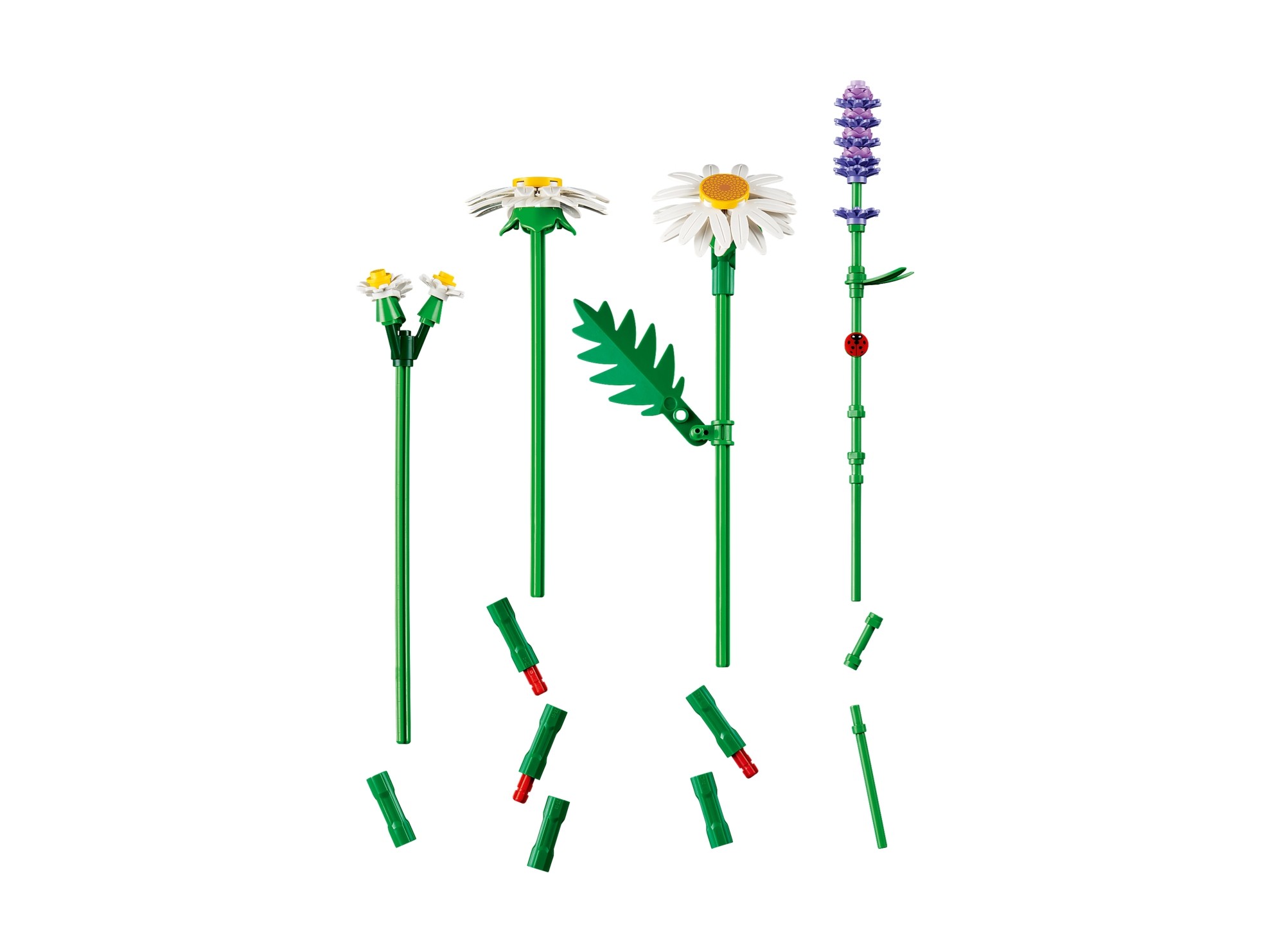 LEGO Botanicals - Stokrotki
