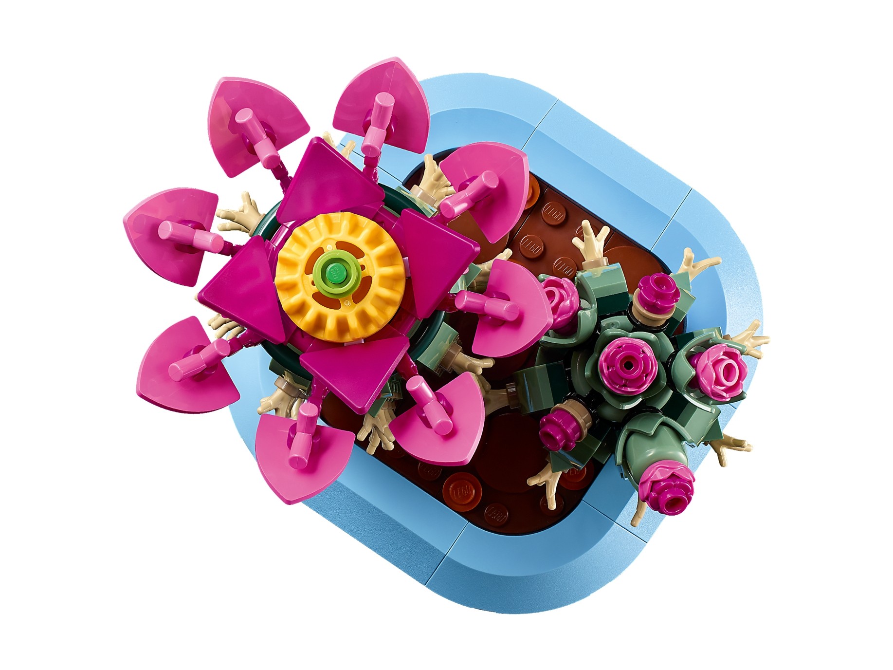 LEGO Botanicals - Kwitnący kaktus