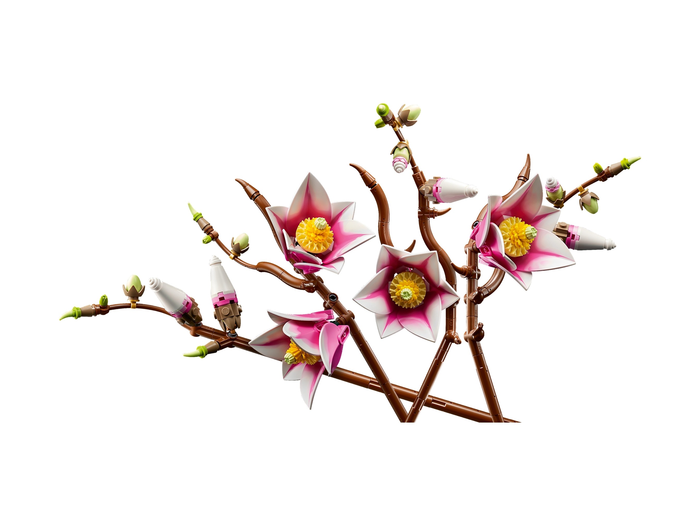 LEGO Botanicals - Gałązki magnolii