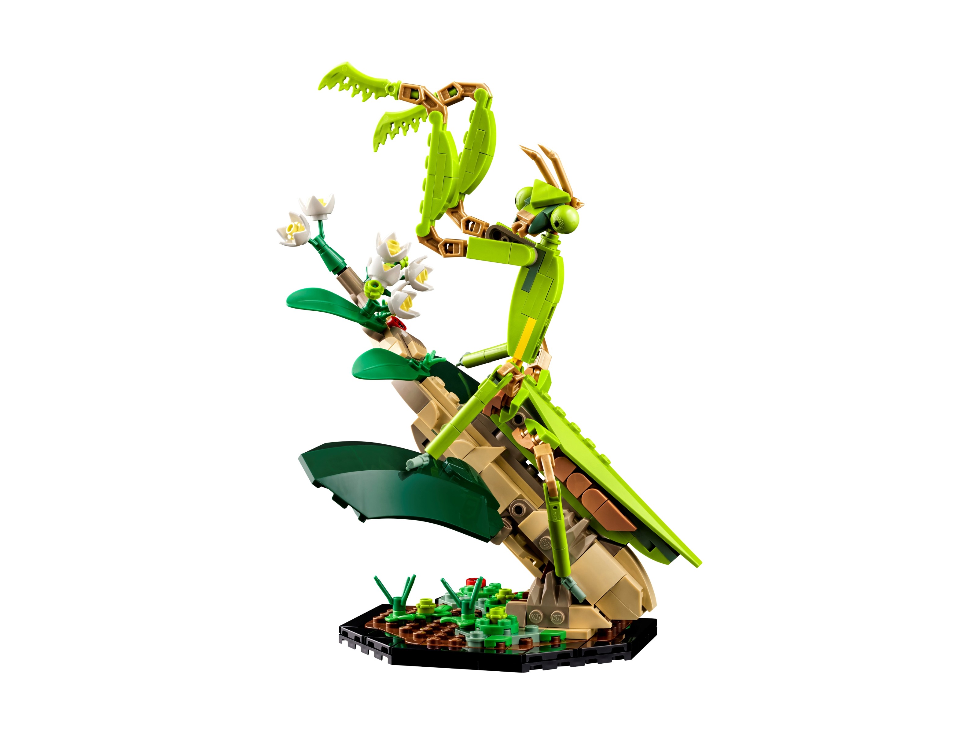 LEGO Ideas - Kolekcja owadów