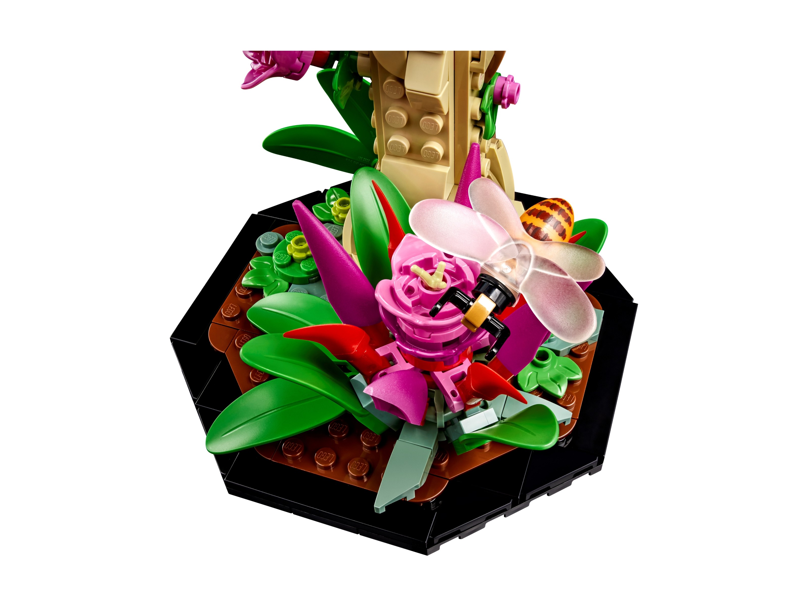 LEGO Ideas - Kolekcja owadów