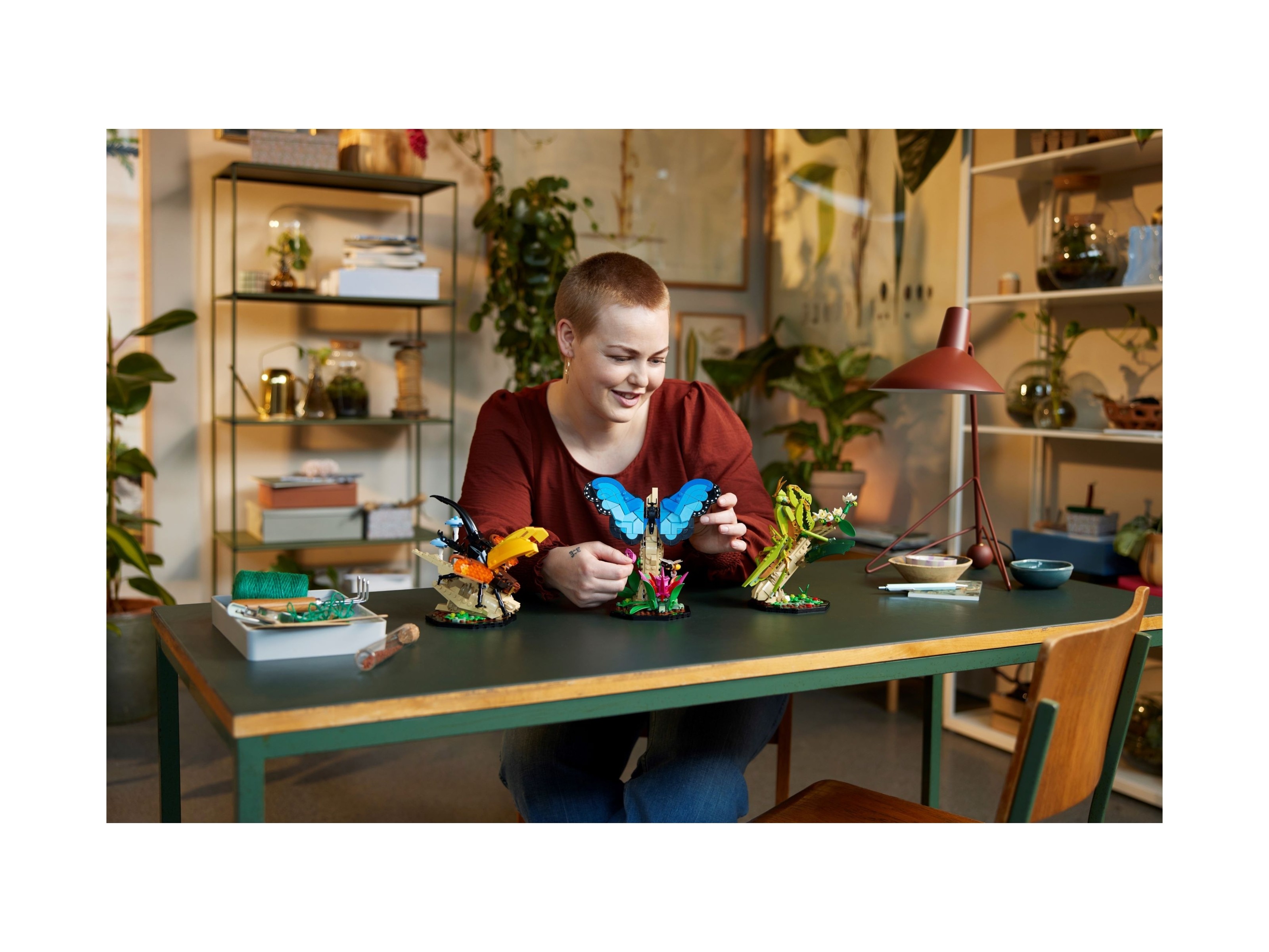 LEGO Ideas - Kolekcja owadów