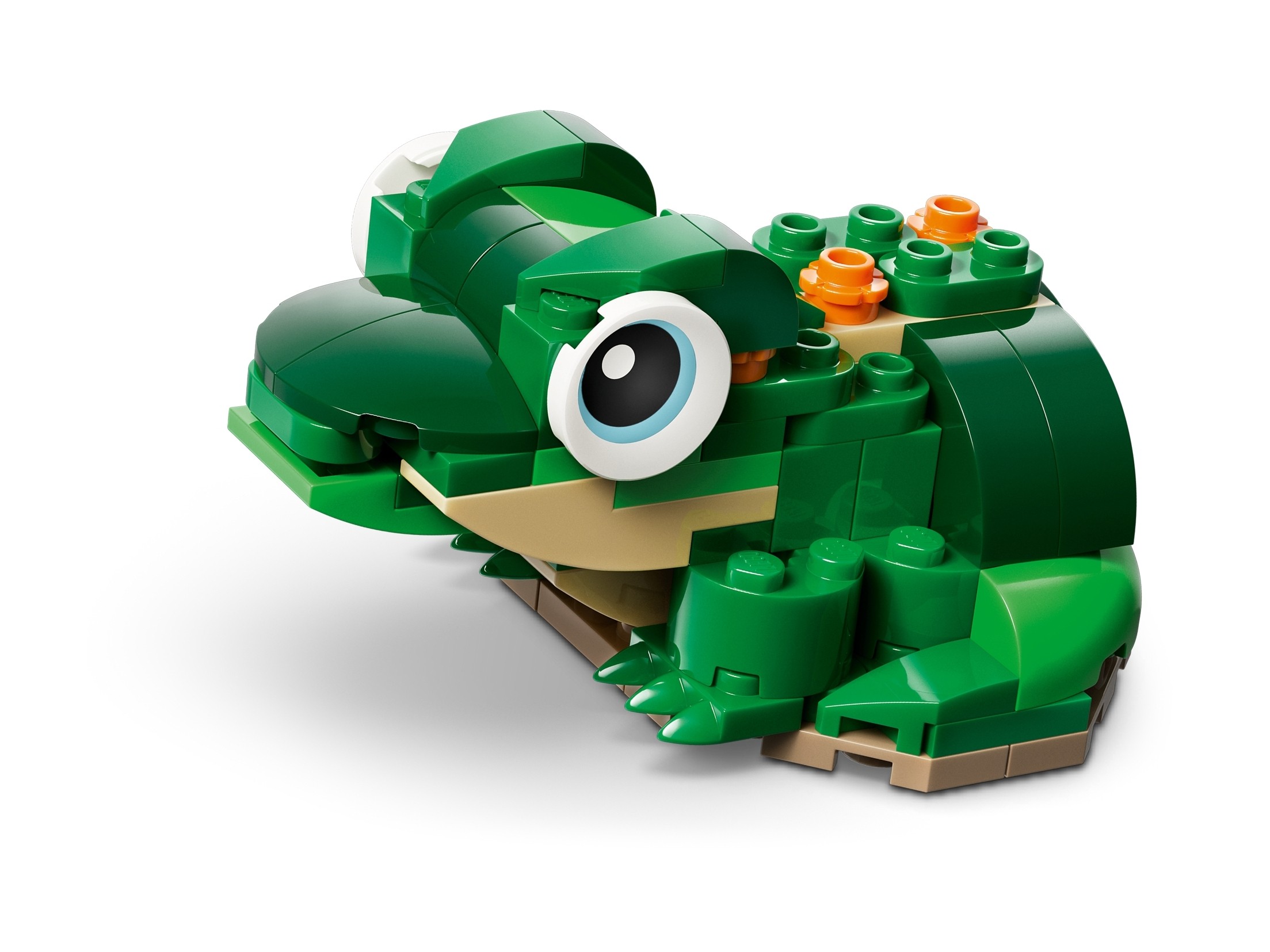 LEGO Creator 3 w 1 - Żółw i kwiat lilii wodnej