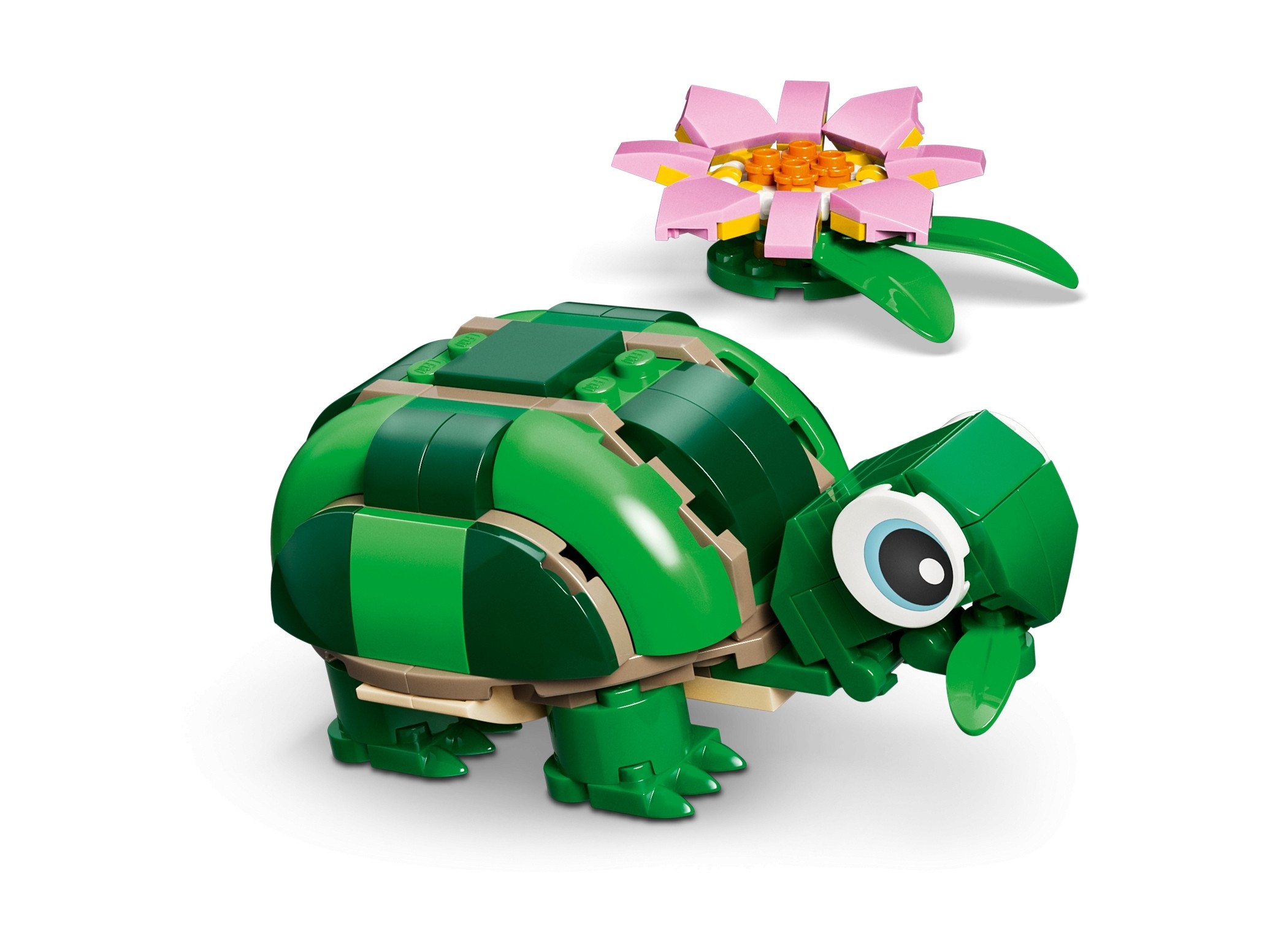 LEGO Creator 3 w 1 - Żółw i kwiat lilii wodnej