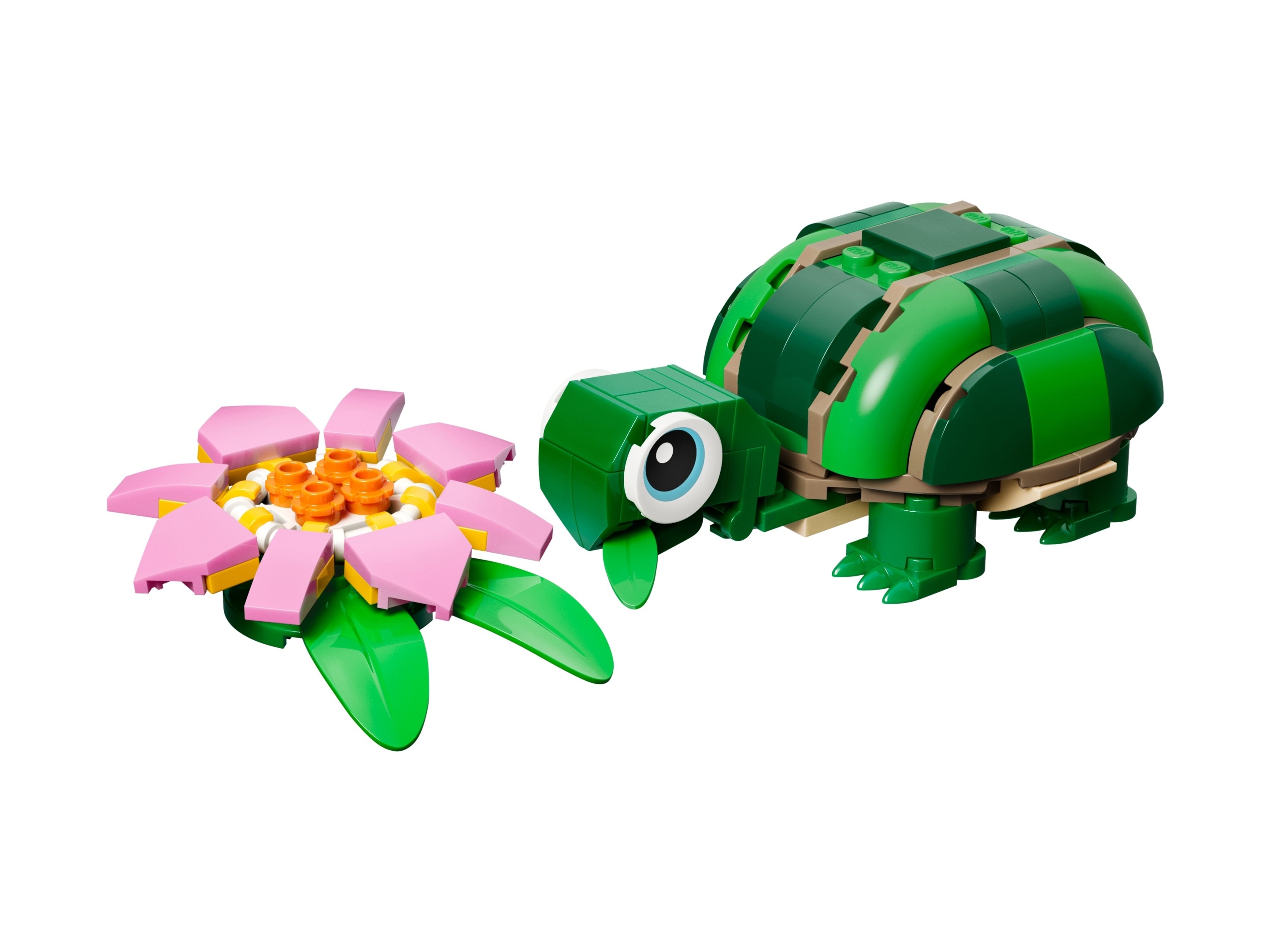 LEGO Creator 3 w 1 - Żółw i kwiat lilii wodnej