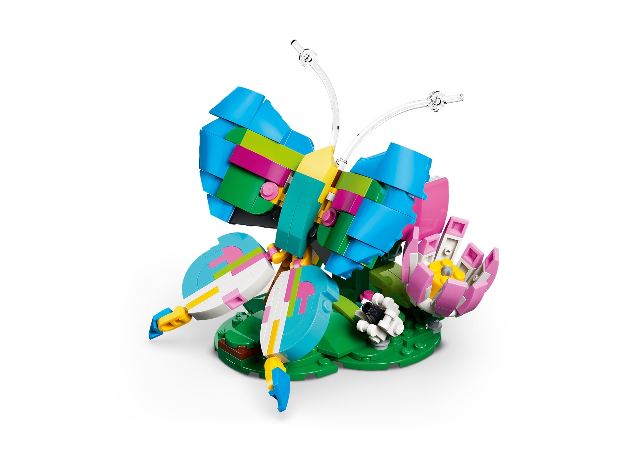 LEGO Creator 3 w 1 - Dzikie zwierzęta: kolorowy koliber