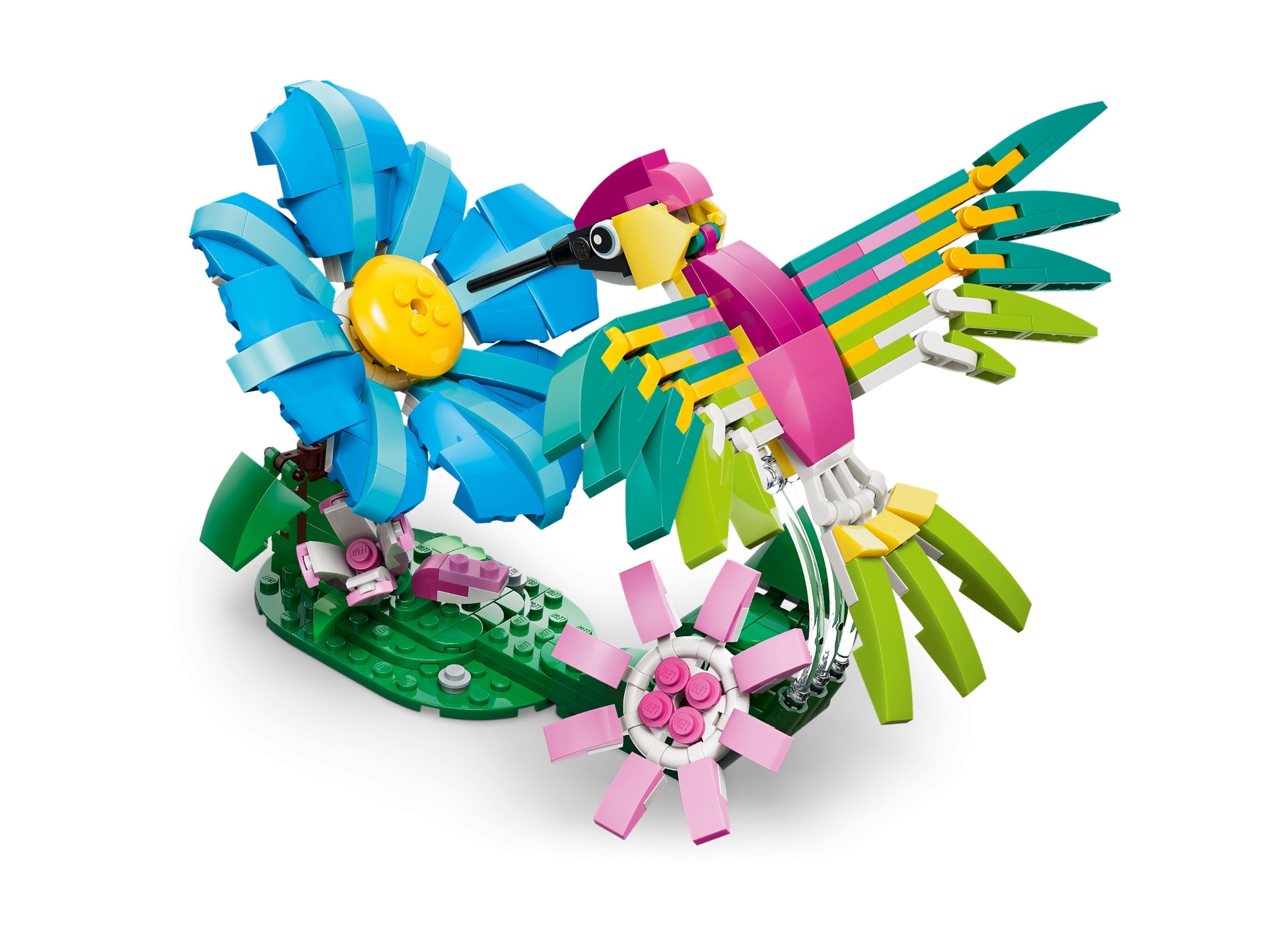 LEGO Creator 3 w 1 - Dzikie zwierzęta: kolorowy koliber