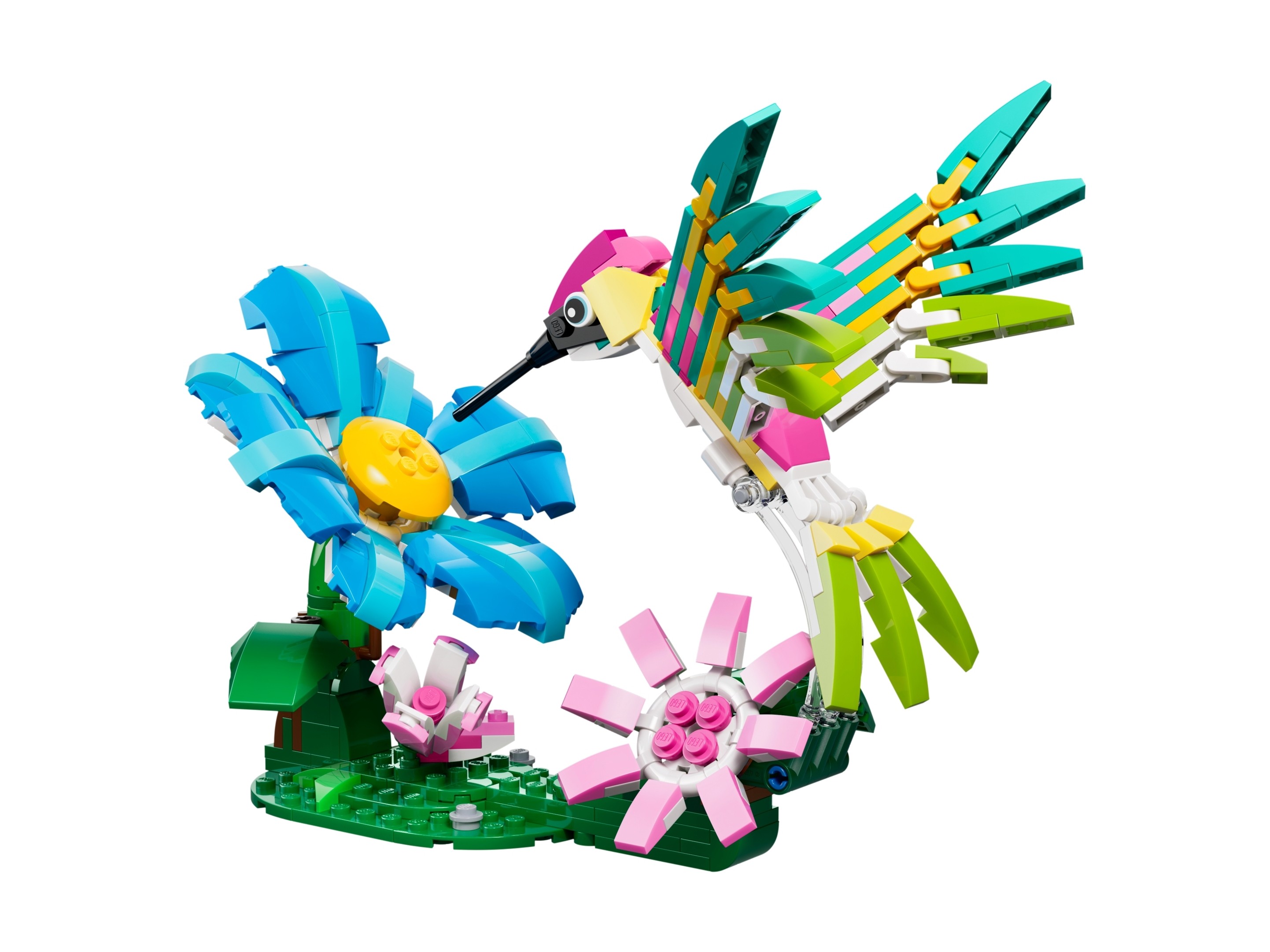 LEGO Creator 3 w 1 - Dzikie zwierzęta: kolorowy koliber