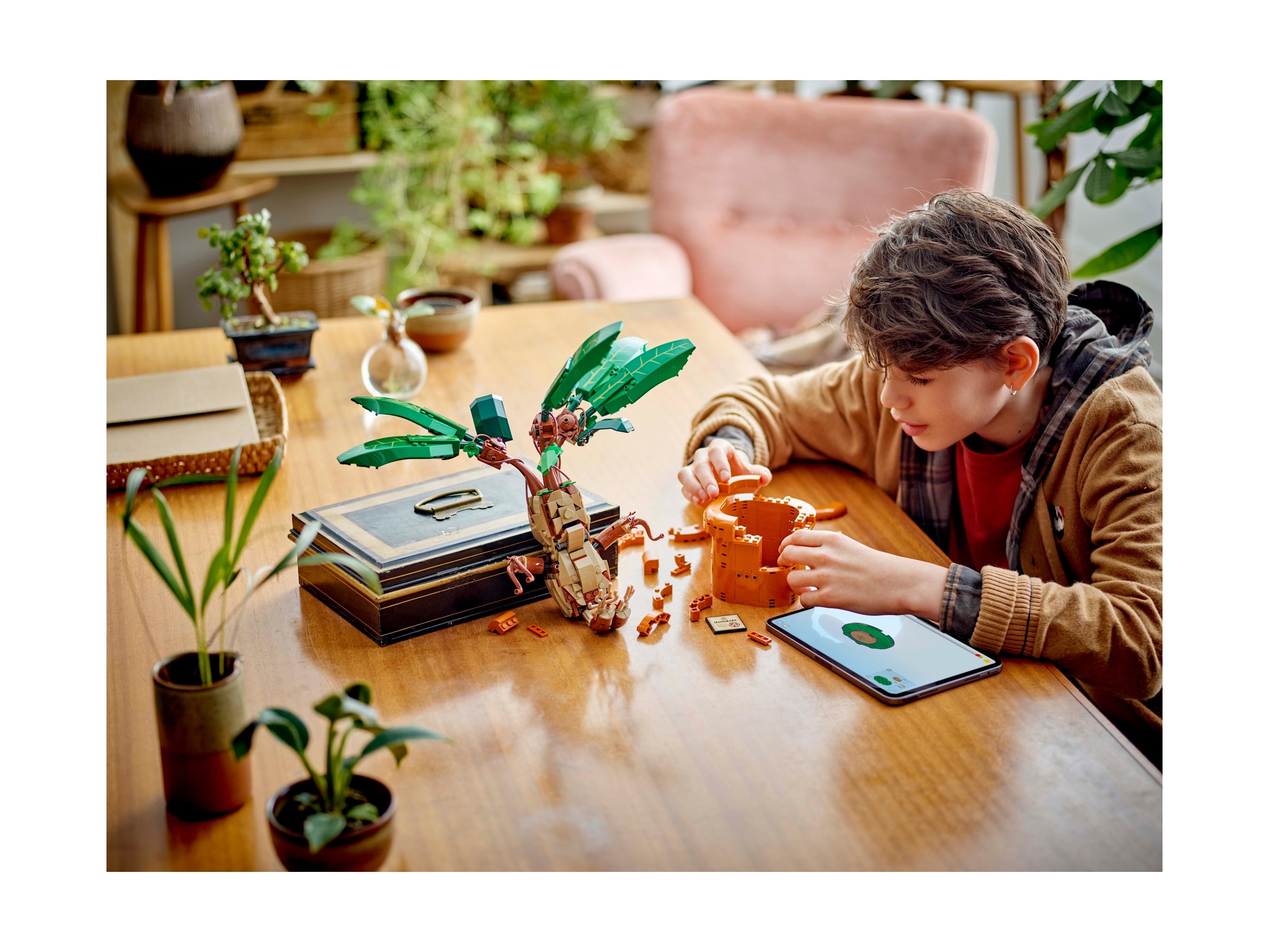 LEGO Harry Potter - Mandragora