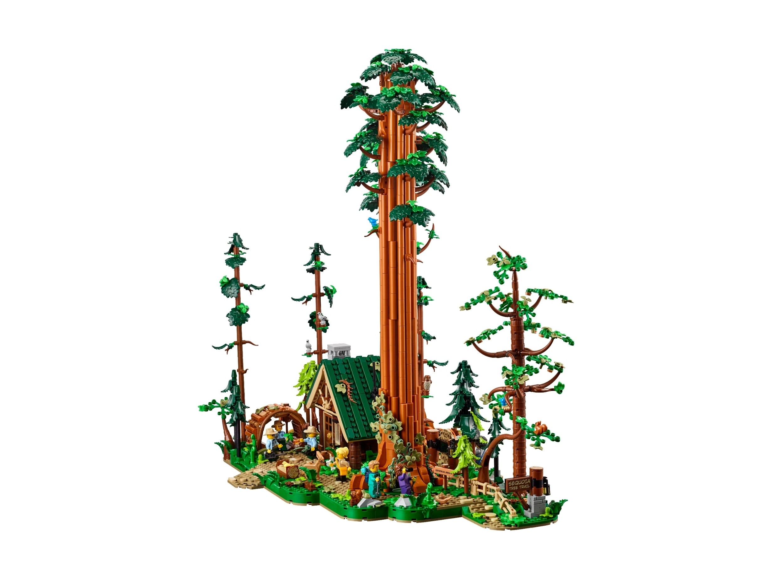 LEGO BrickLink Designer - Sekwojowy szlak